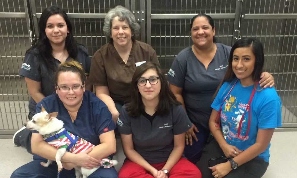 Meet Dr. Mary Kate Lawler of SpayNeuter Assistance Program (SNAP) in
