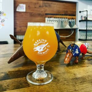 Hidden Gems Meet Jacob Trimm of Barking Armadillo Brewing