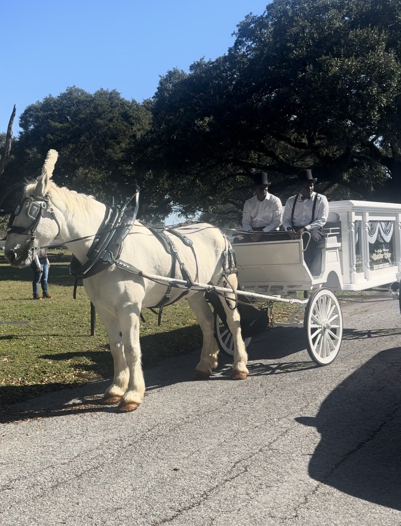 Two people in white shirts and hats sit in a horse-drawn carriage on a grassy area with trees in the background.
