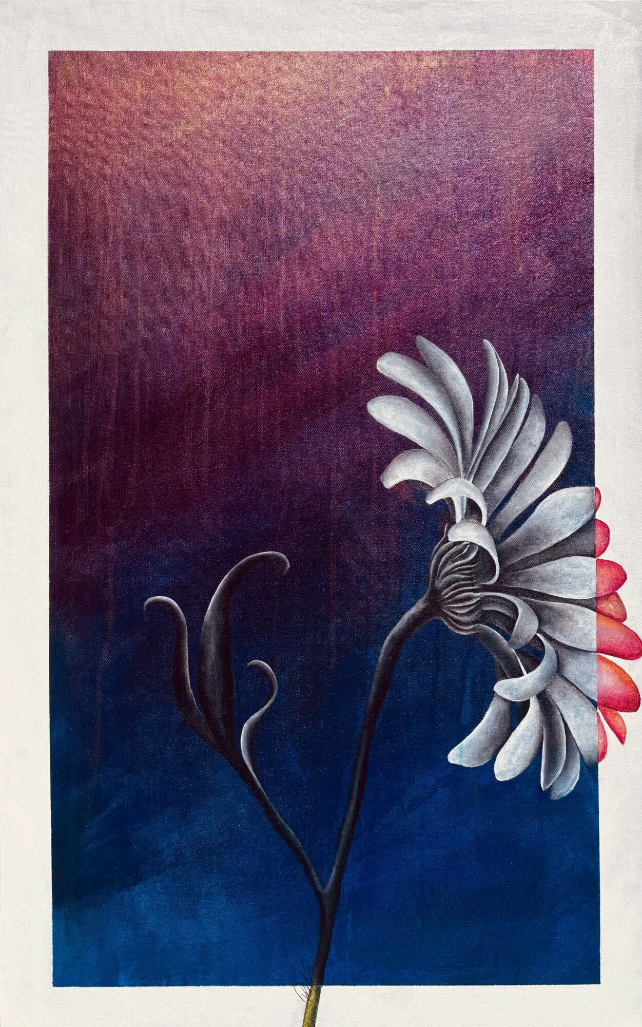 Vertical painting of a white flower with pink tips against a gradient background from purple to blue.
