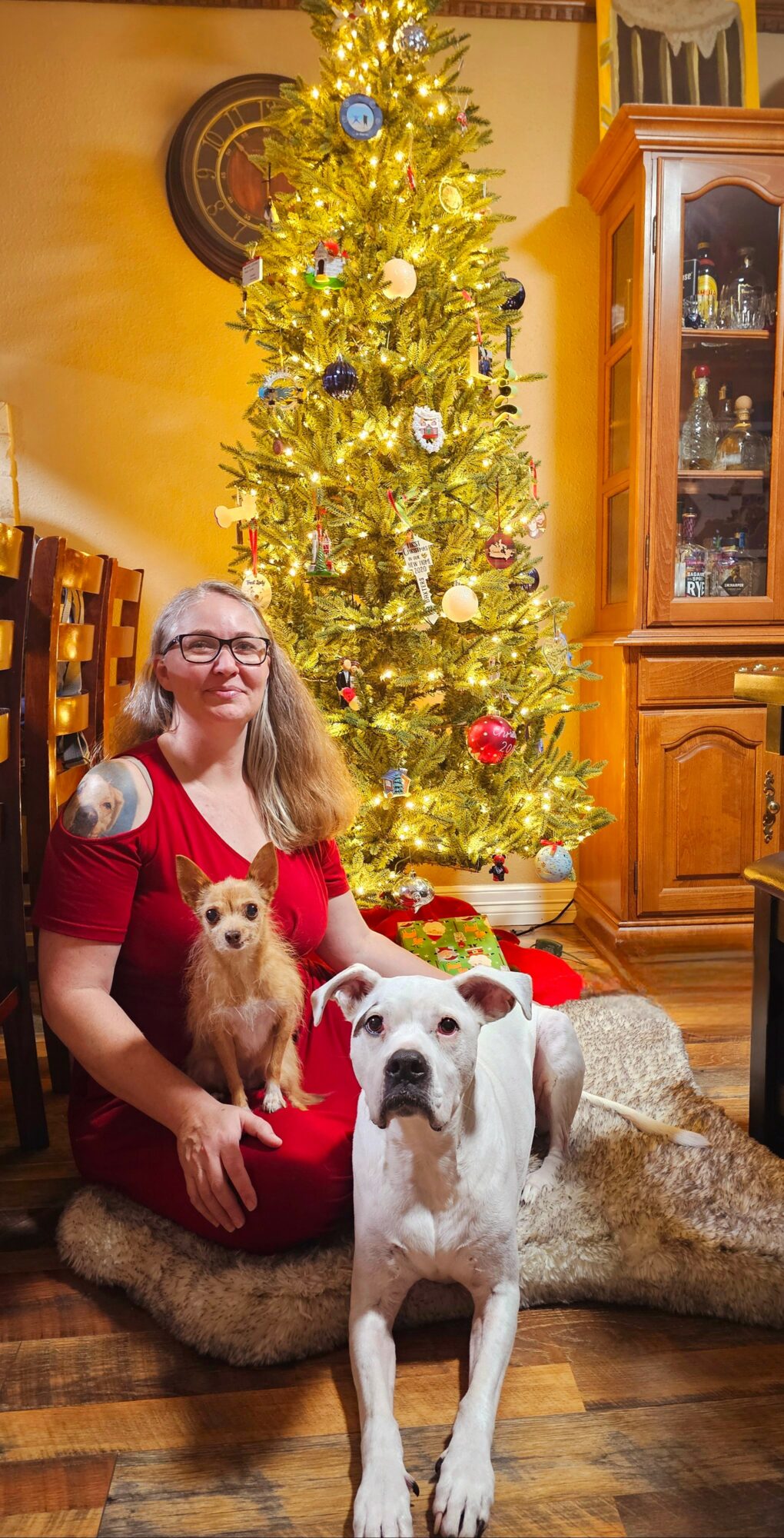 Girl with glasses sitting on a rug with two dogs in front of a decorated Christmas tree in a living room.