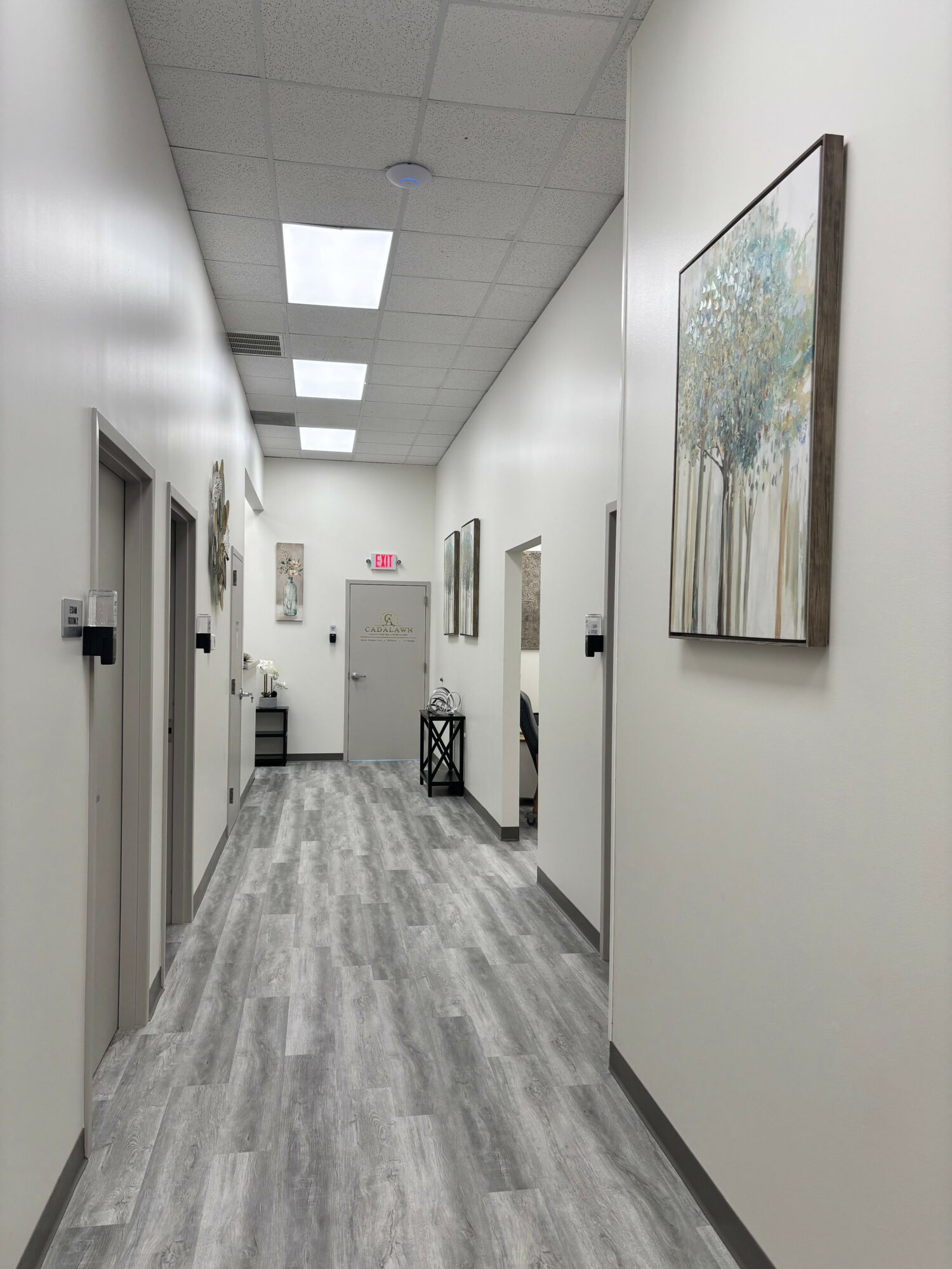 Long hallway with white walls, gray wood floor, ceiling lights, and framed artwork on the right wall.
