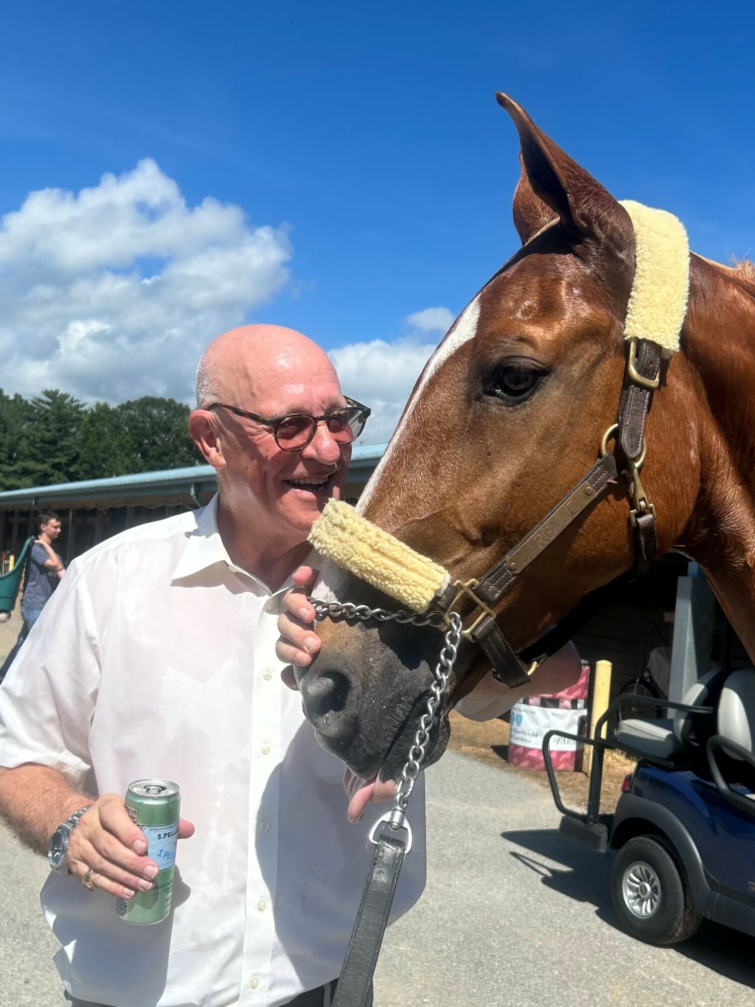 A man with glasses and a white shirt smiling at a brown horse with a yellow halter outdoors under a blue sky.