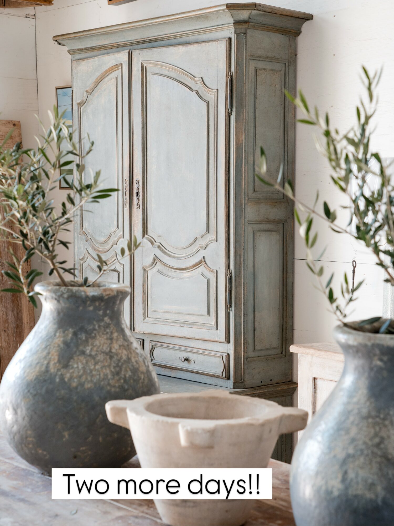 Tall, vintage-style wooden cabinet with double doors, surrounded by potted plants and a stone bowl, in a cozy interior.