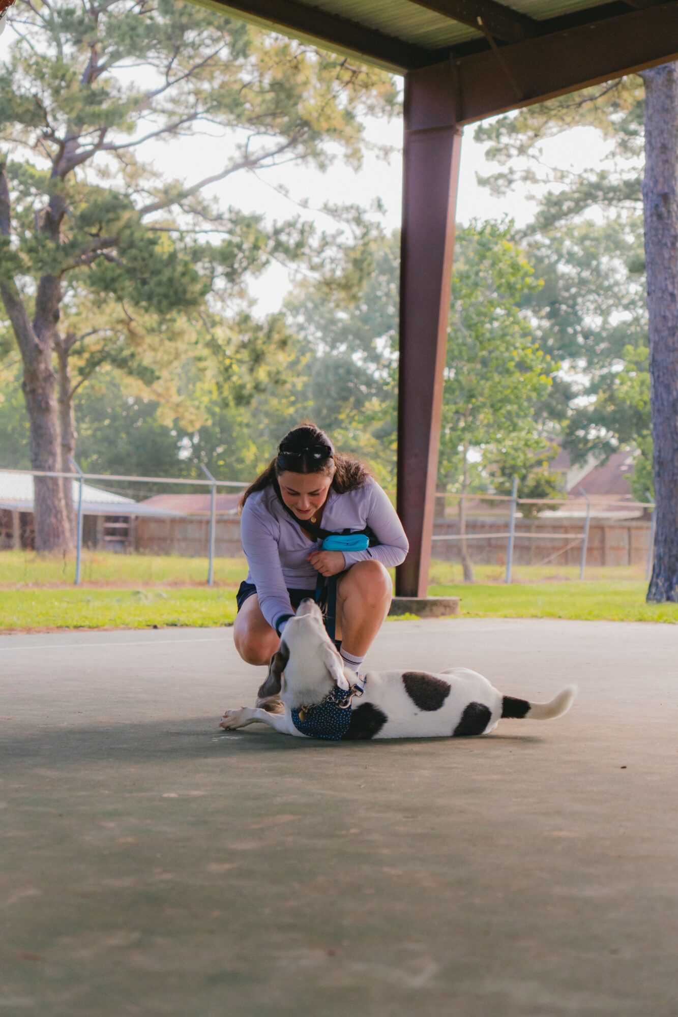 Person kneeling on ground with a black and white dog lying on its back outdoors under a shelter, trees in background.