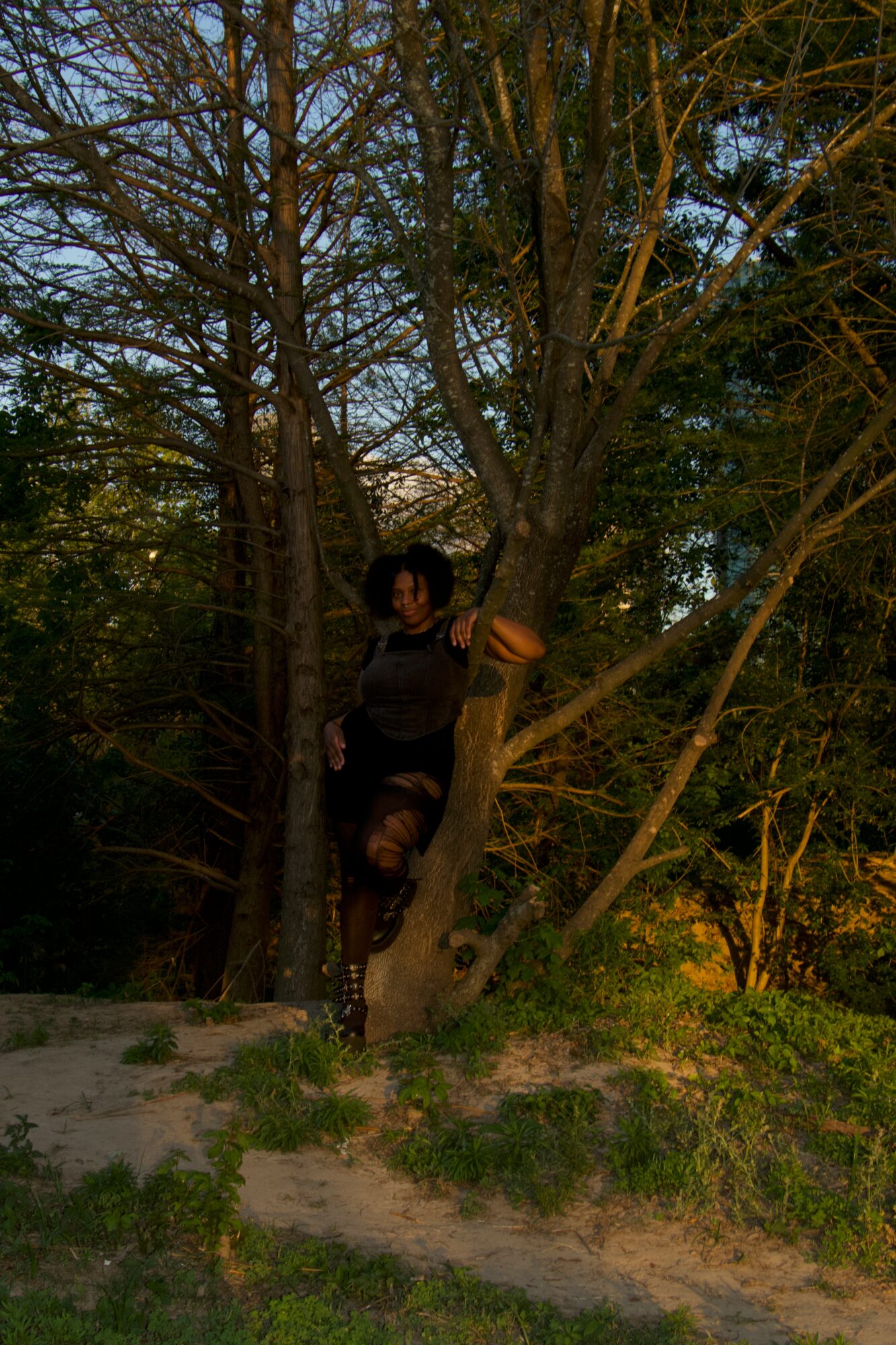 Person sitting in a tree with branches and leaves, outdoors during daytime.