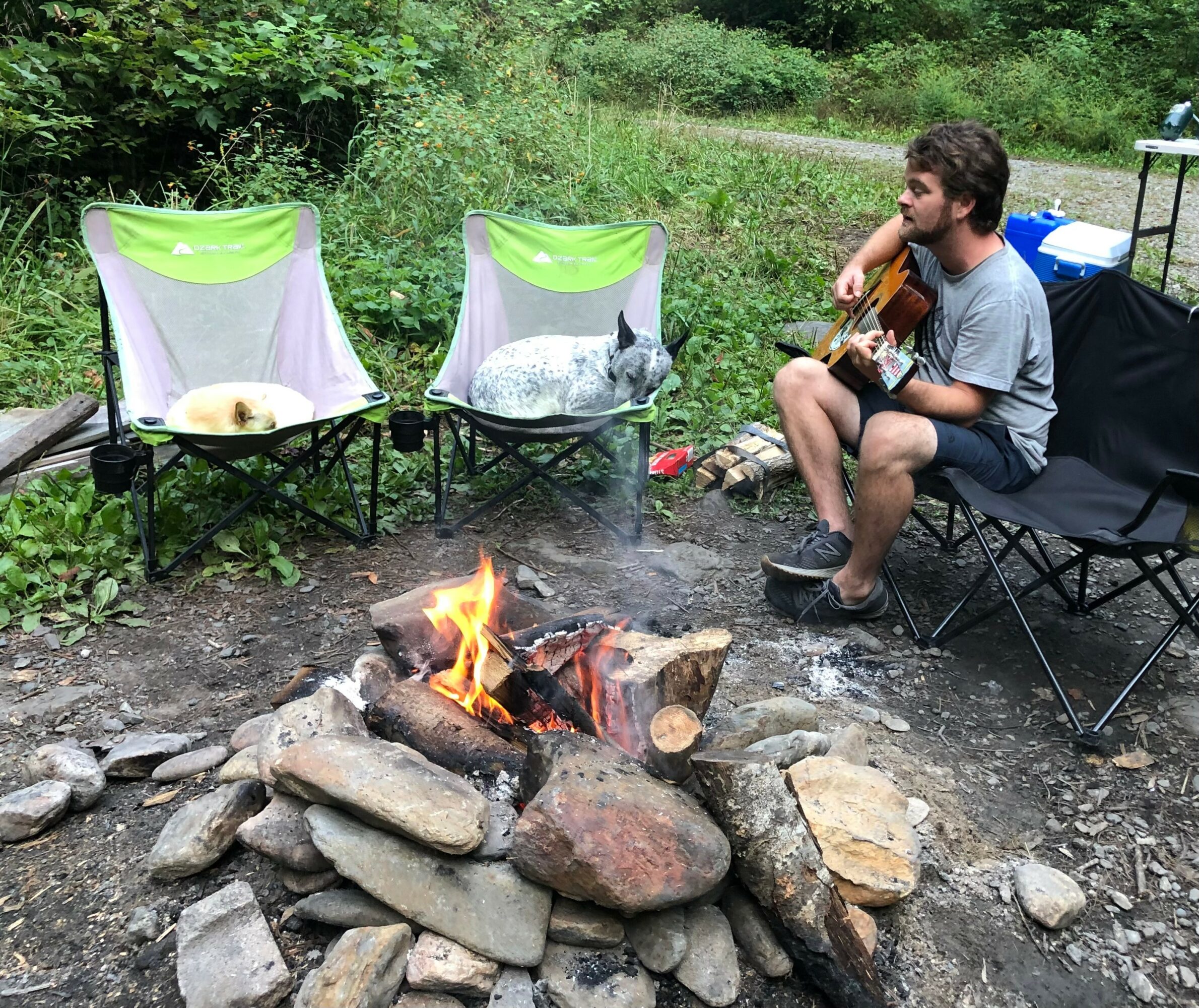 Man playing guitar near campfire with two chairs and a dog in a wooded outdoor setting.