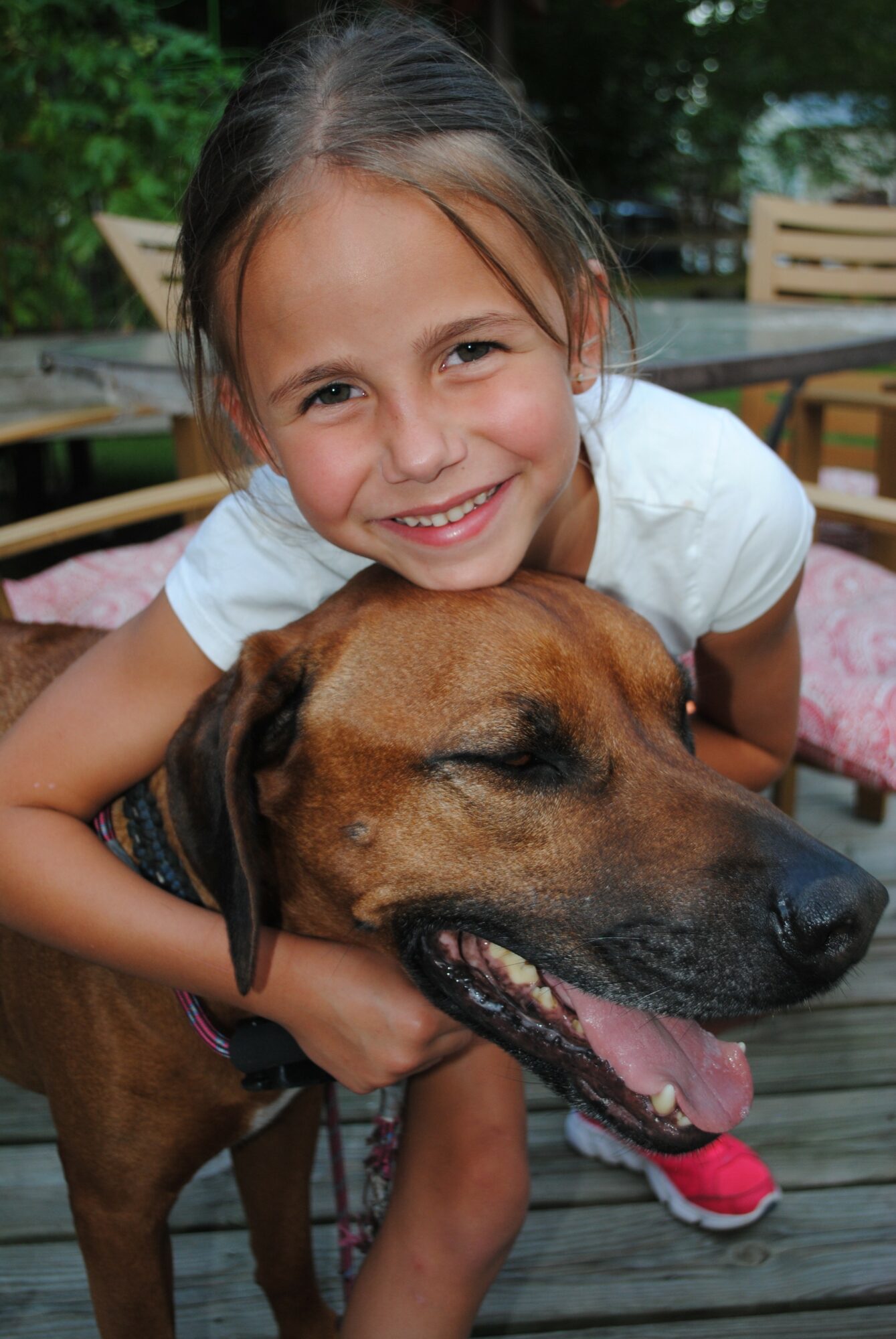 Young girl hugging a large brown dog outdoors, smiling happily, with trees and wooden furniture in the background.