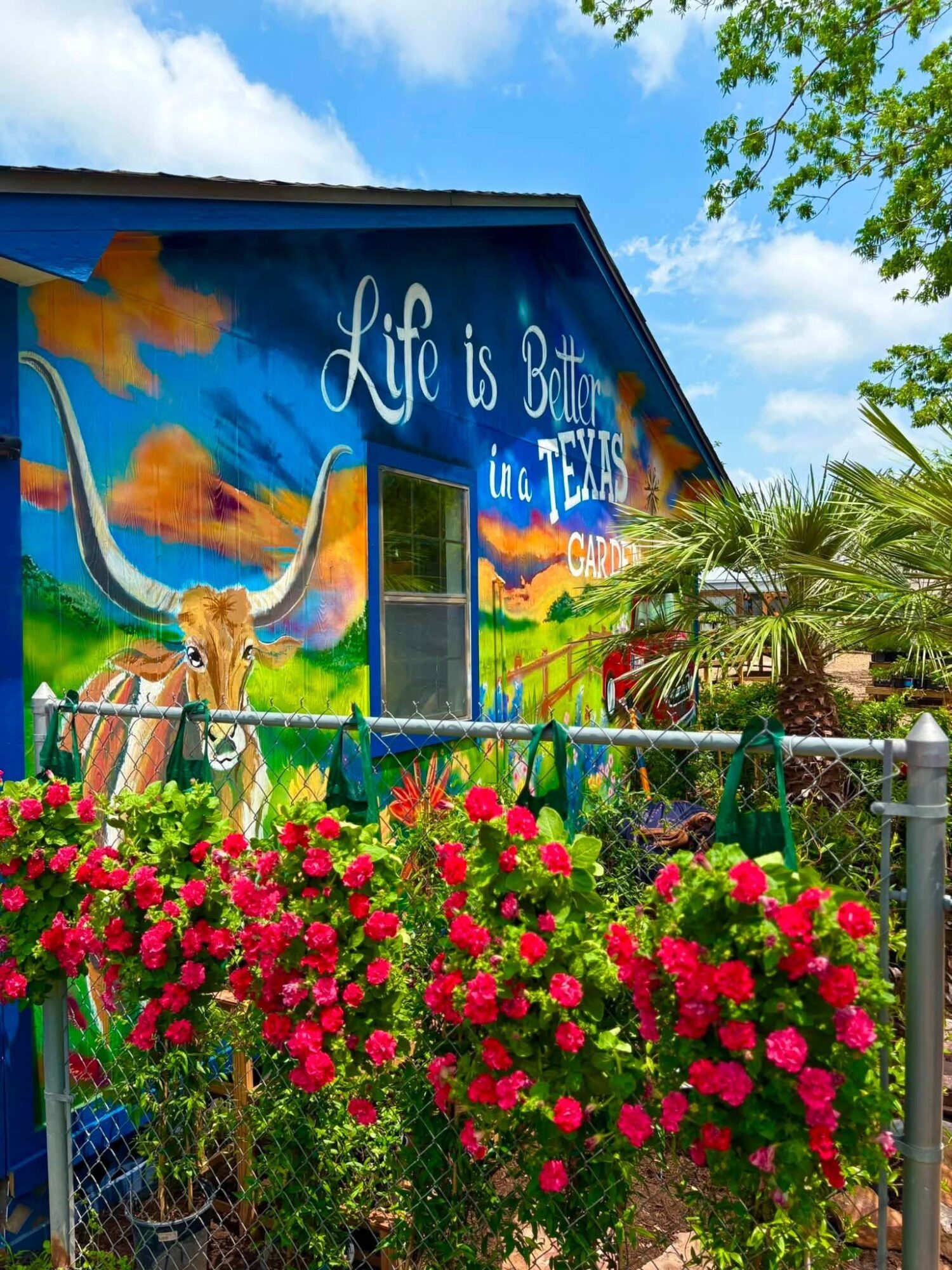 Colorful mural with a cow, sunset, and text reading 'Life is Better in Texas,' surrounded by pink flowers and greenery.
