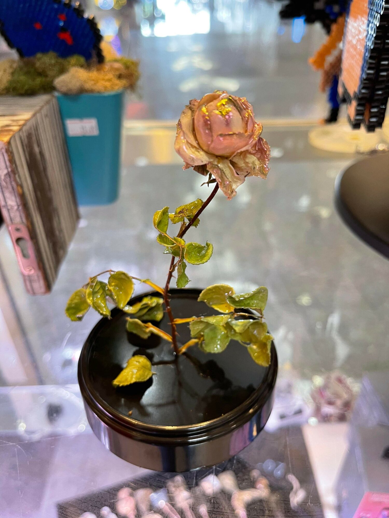 Withered pink flower on a stem in a black pot, leaves are yellowing, on a store display counter.