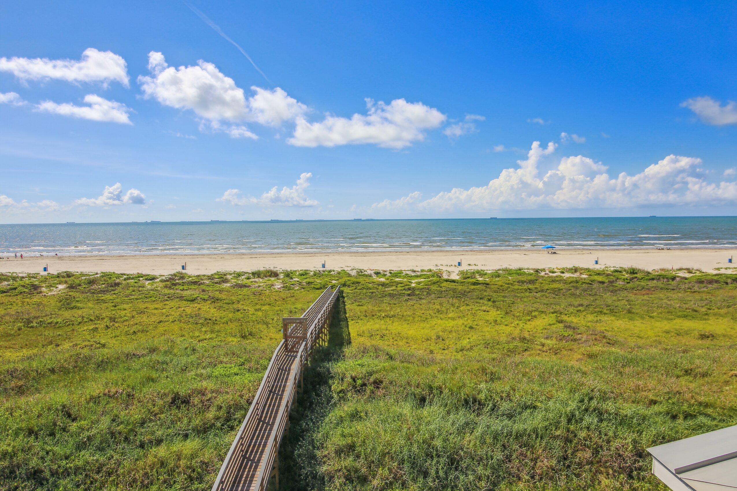 Beach scene with grassy area, sandy shore, ocean, and blue sky with clouds
