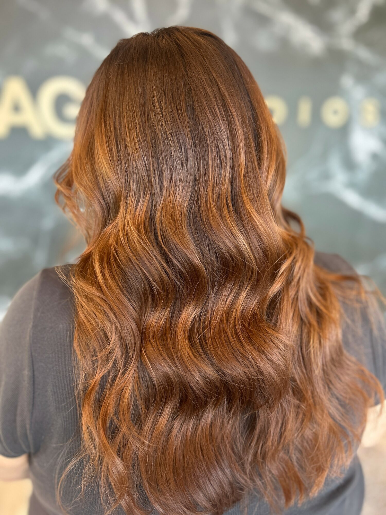 Back of a person with long, wavy, reddish-brown hair, standing in front of a blurred background with text.