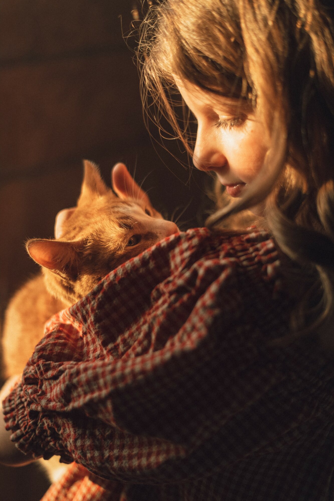 Girl with long hair holding a ginger cat close, both looking at each other affectionately, warm lighting.