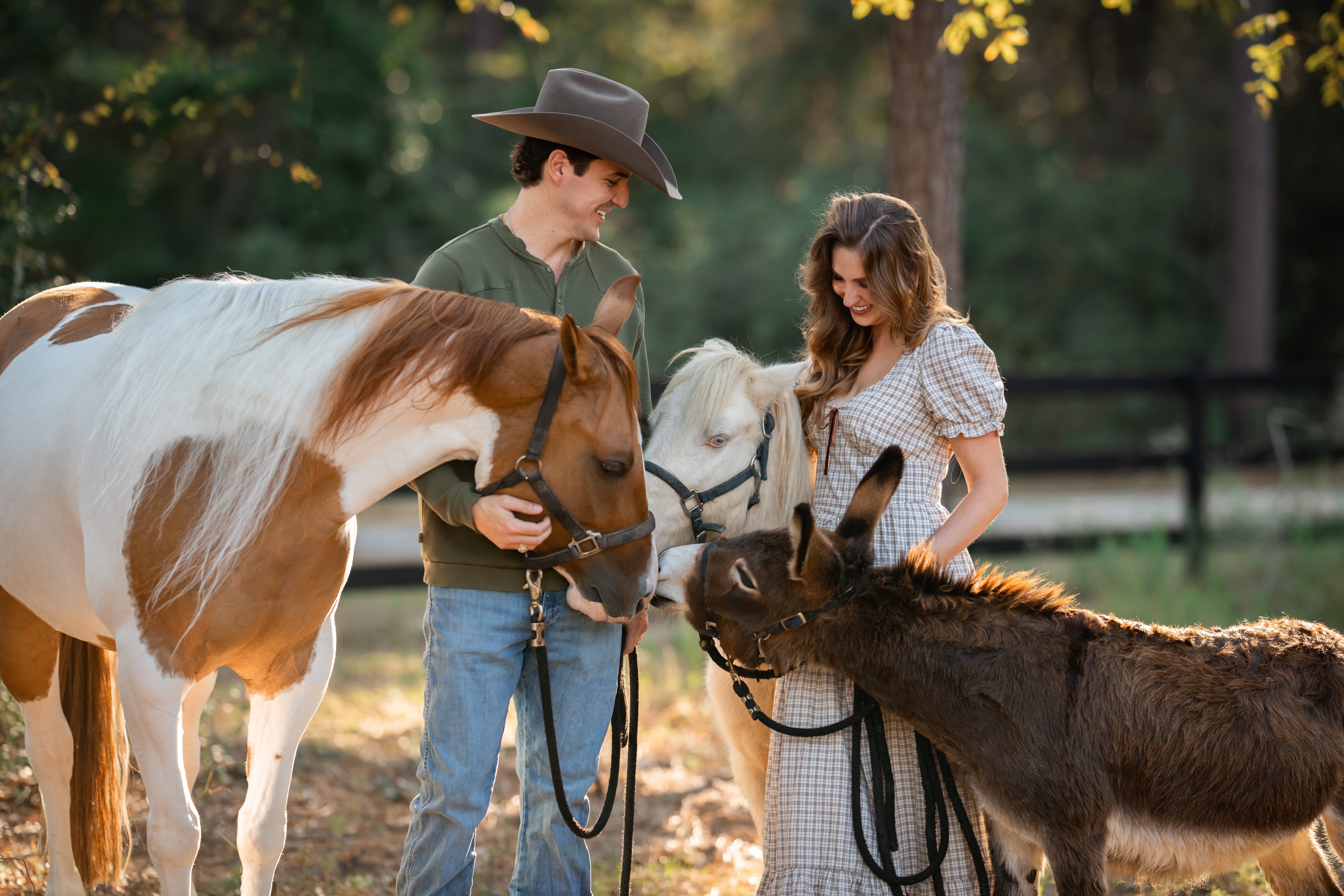 Two women with horses and a small donkey in a fenced outdoor area, trees in the background, sunlight filtering through leaves.