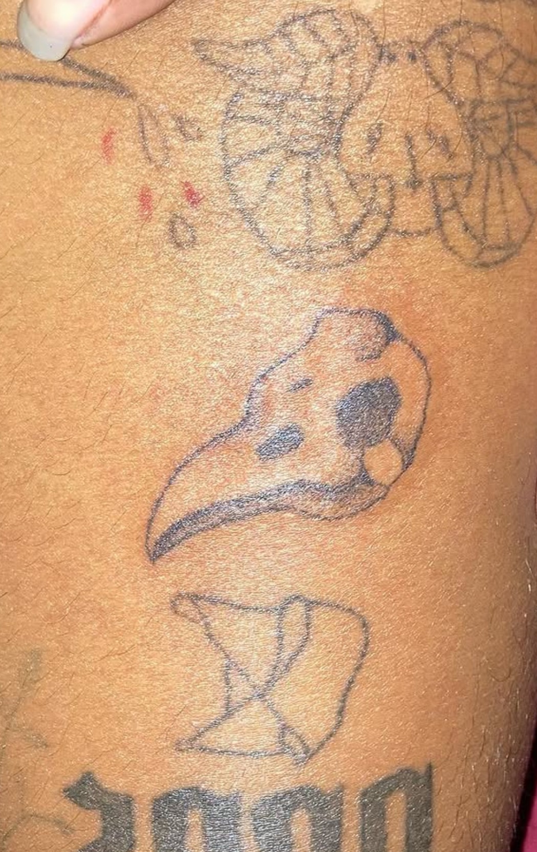 Tattoo of an animal skull, a leaf, and a stylized design on skin, with some red marks nearby.