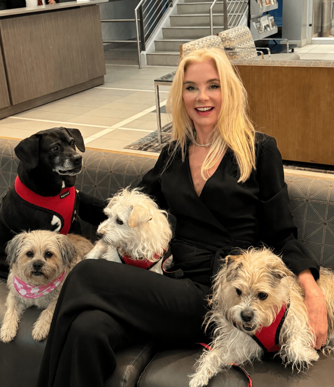 Woman with blonde hair smiling, sitting on a couch with four dogs in a store. One dog is black with a red collar, others are small and light-colored, some with bandanas.