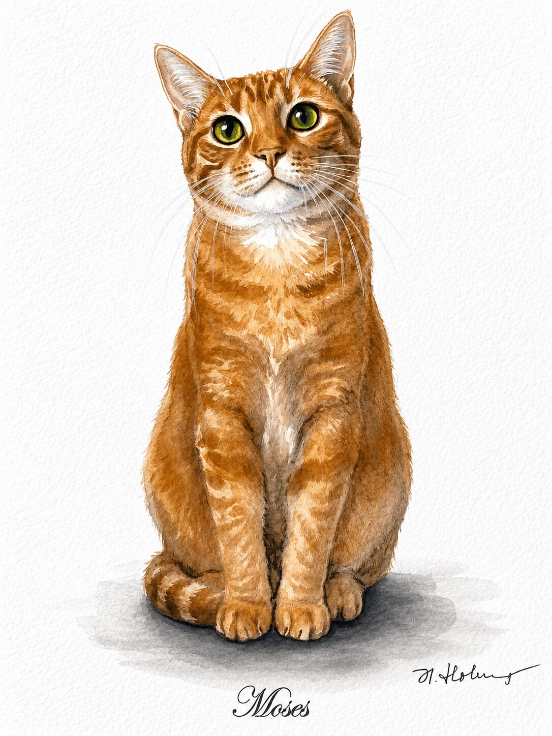 A sitting orange tabby cat with green eyes, facing forward, on a white background, with the name Moses written below.