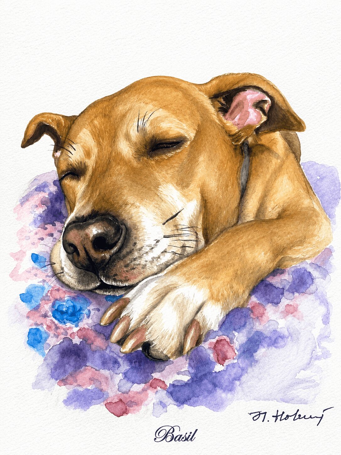 A dog with closed eyes resting its head on a purple and pink blanket, with a relaxed expression.