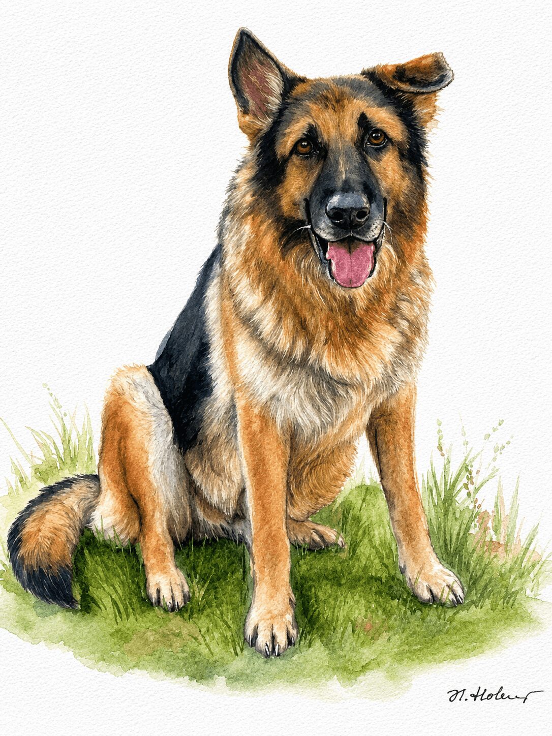 German Shepherd dog sitting on grass, looking forward with tongue out, ears perked up, and a friendly expression.