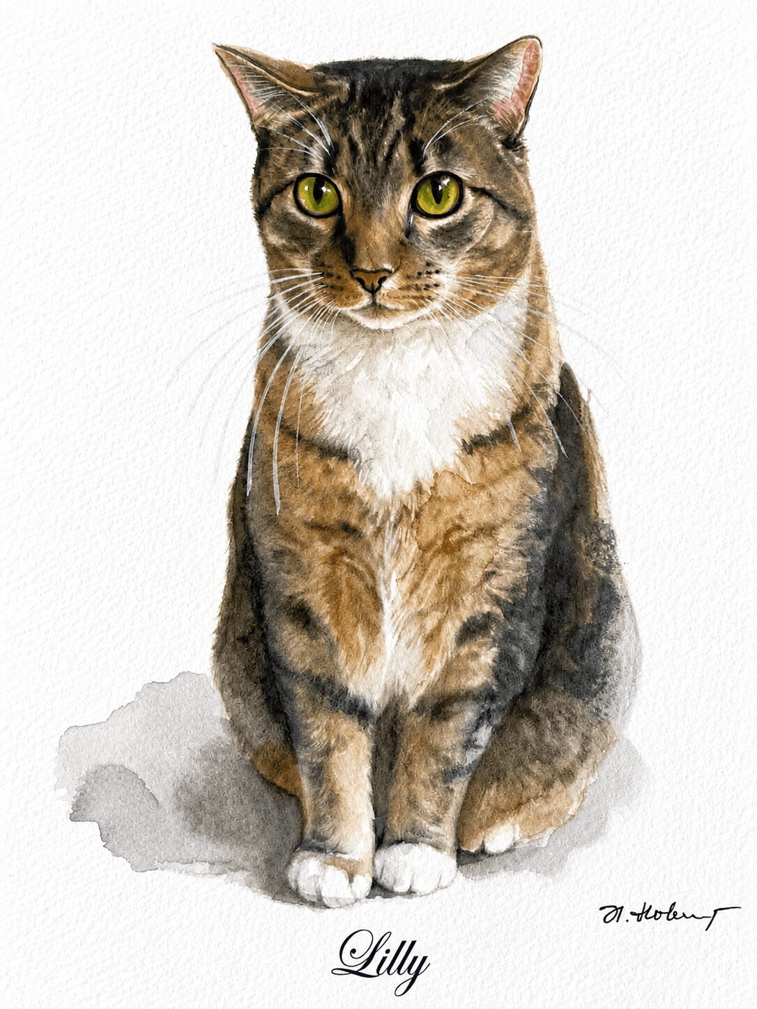 A tabby cat with green eyes sitting on a white background, looking directly at the camera.