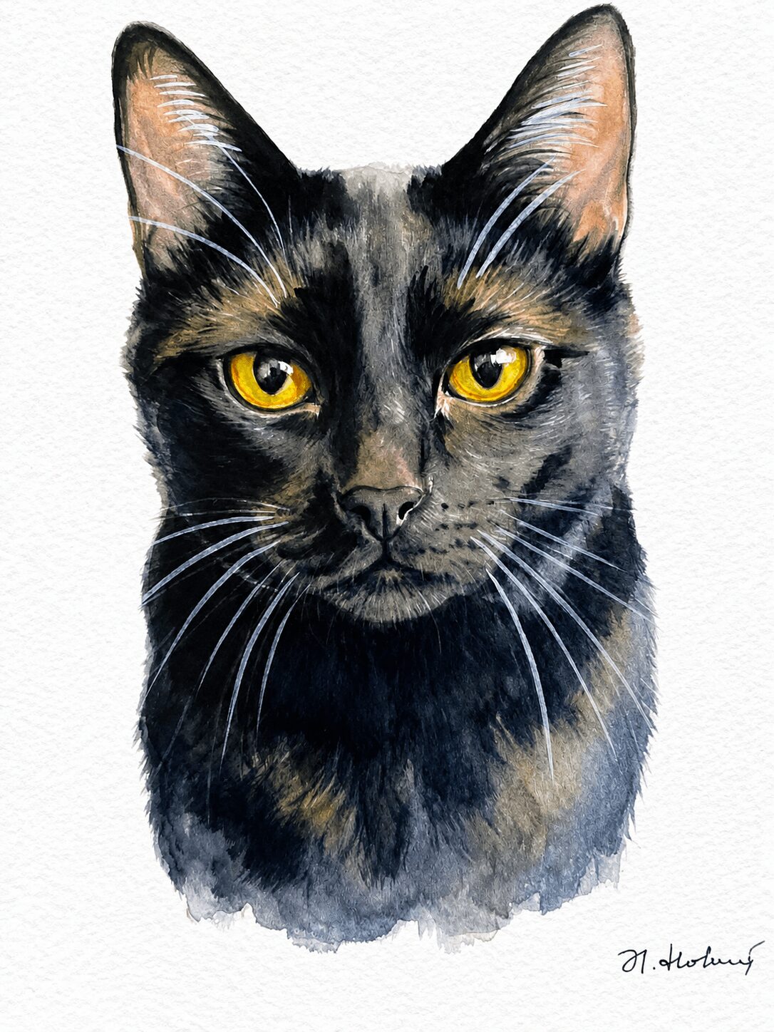 Close-up of a black and gray cat with yellow eyes, facing forward, with a white background.