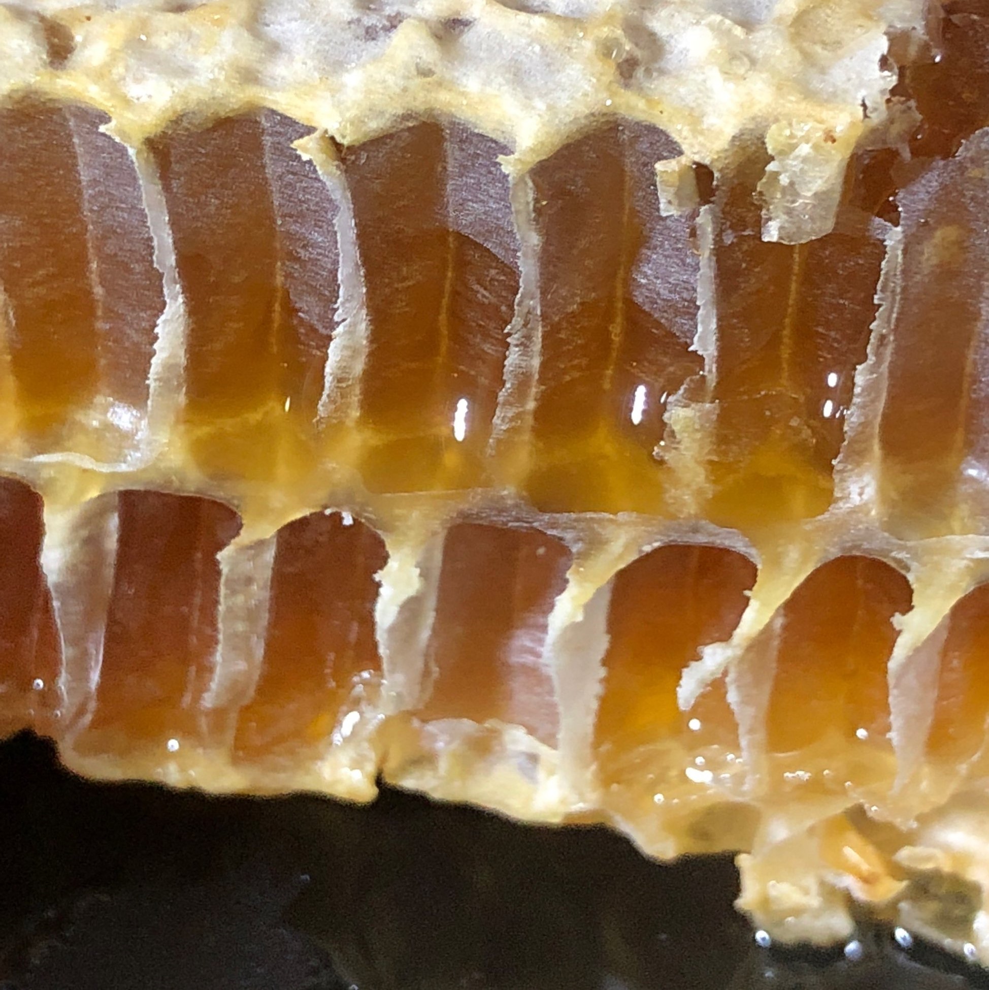 Close-up of honeycomb with honey-filled cells, showing hexagonal structure and golden honey inside.