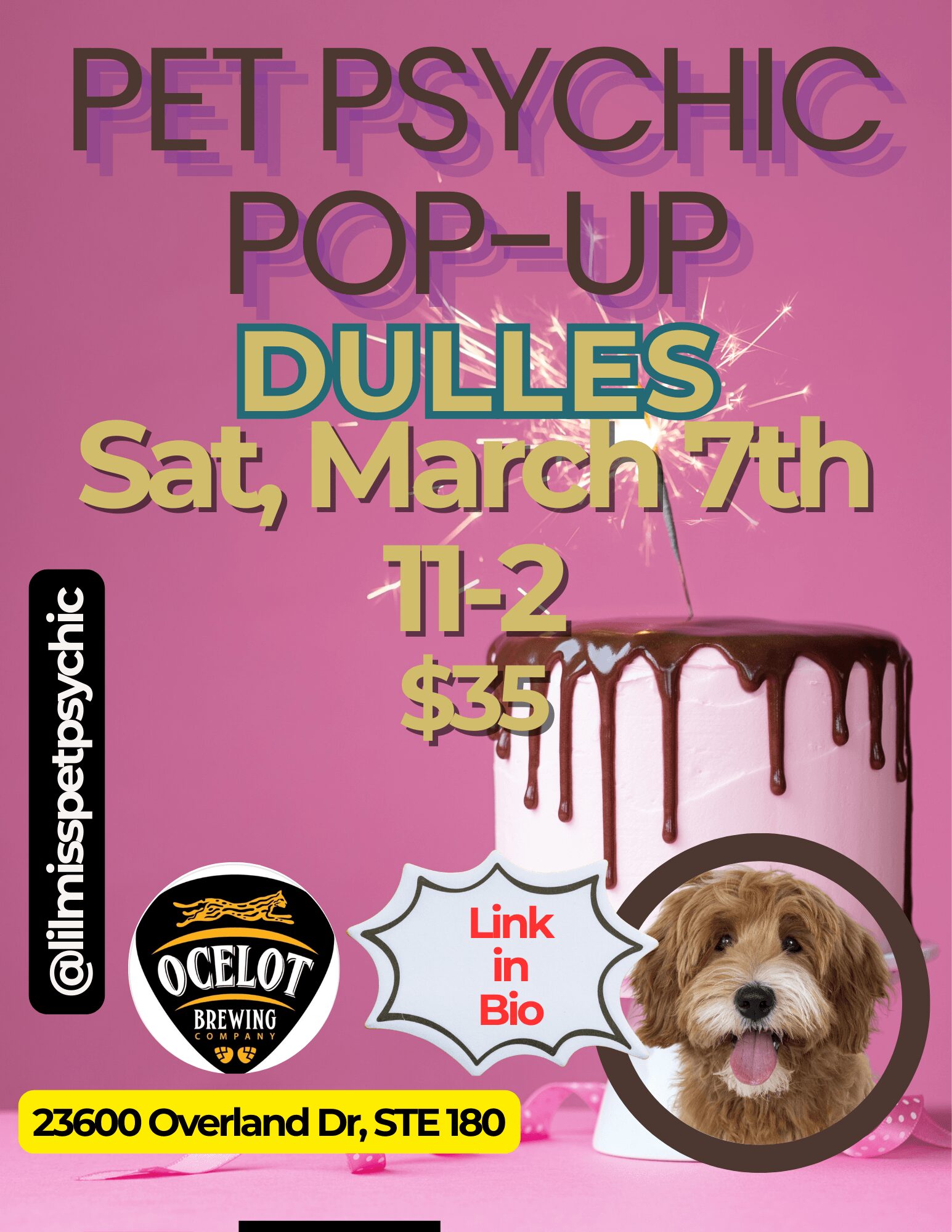 Pink poster advertising pet psychic pop-up event on March 7th, featuring a dog, with event details and a link in bio.