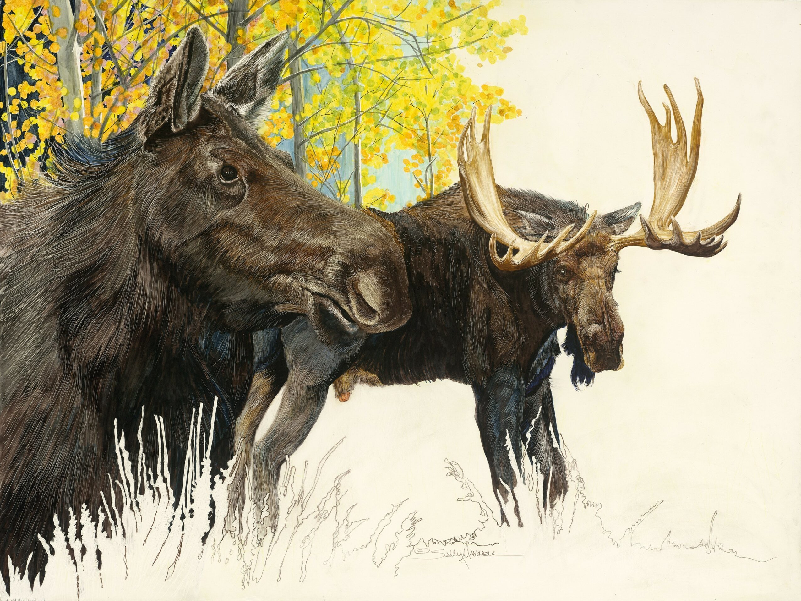 Two moose, one with large antlers, standing in a forest with yellow and green foliage, grass in the foreground.