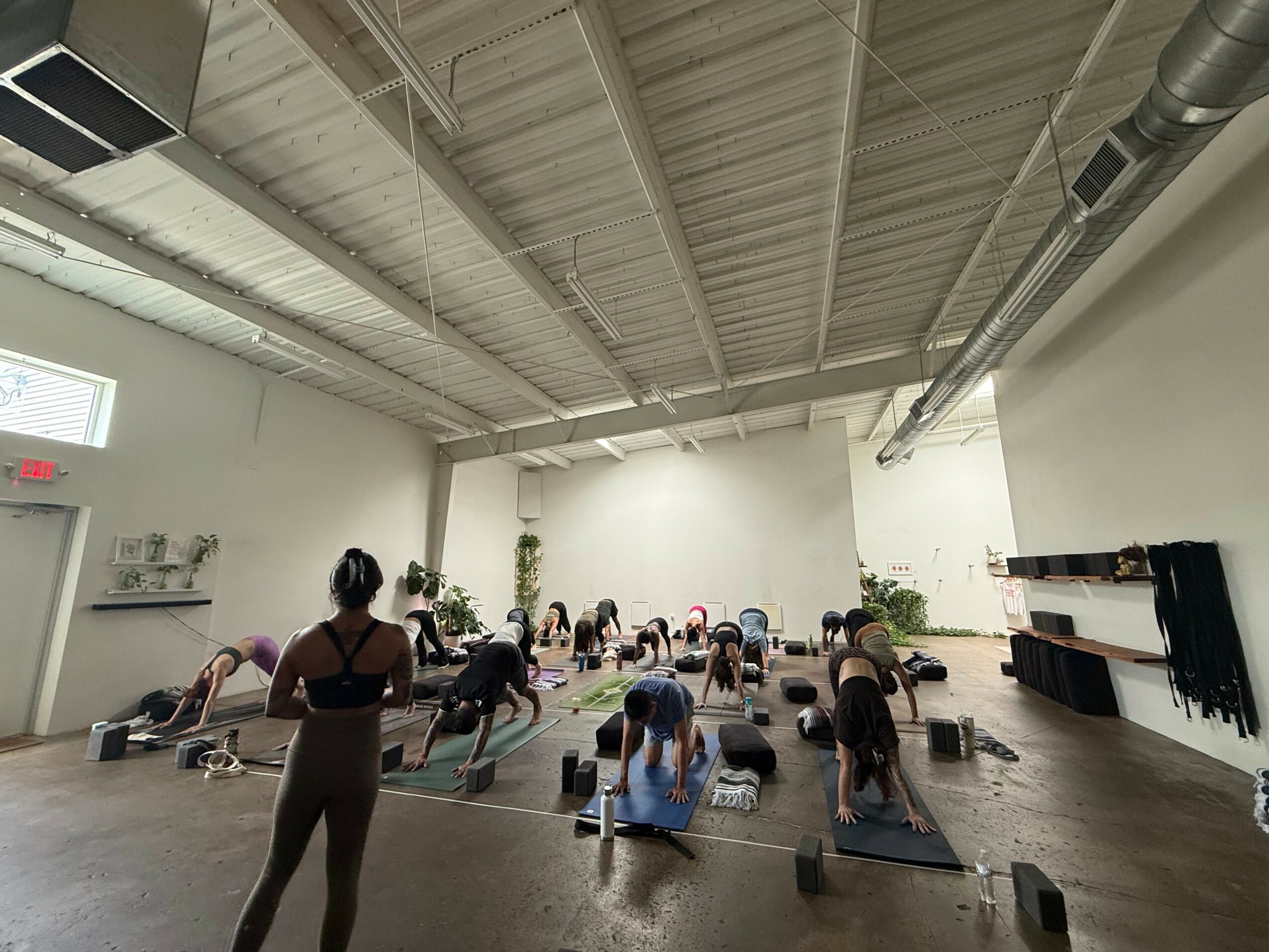People participating in a yoga class in a spacious, well-lit studio with plants and a high ceiling.