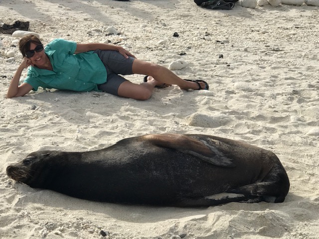 Person lying on sand next to a large pig, both resting on the beach, person wearing sunglasses and casual clothing.