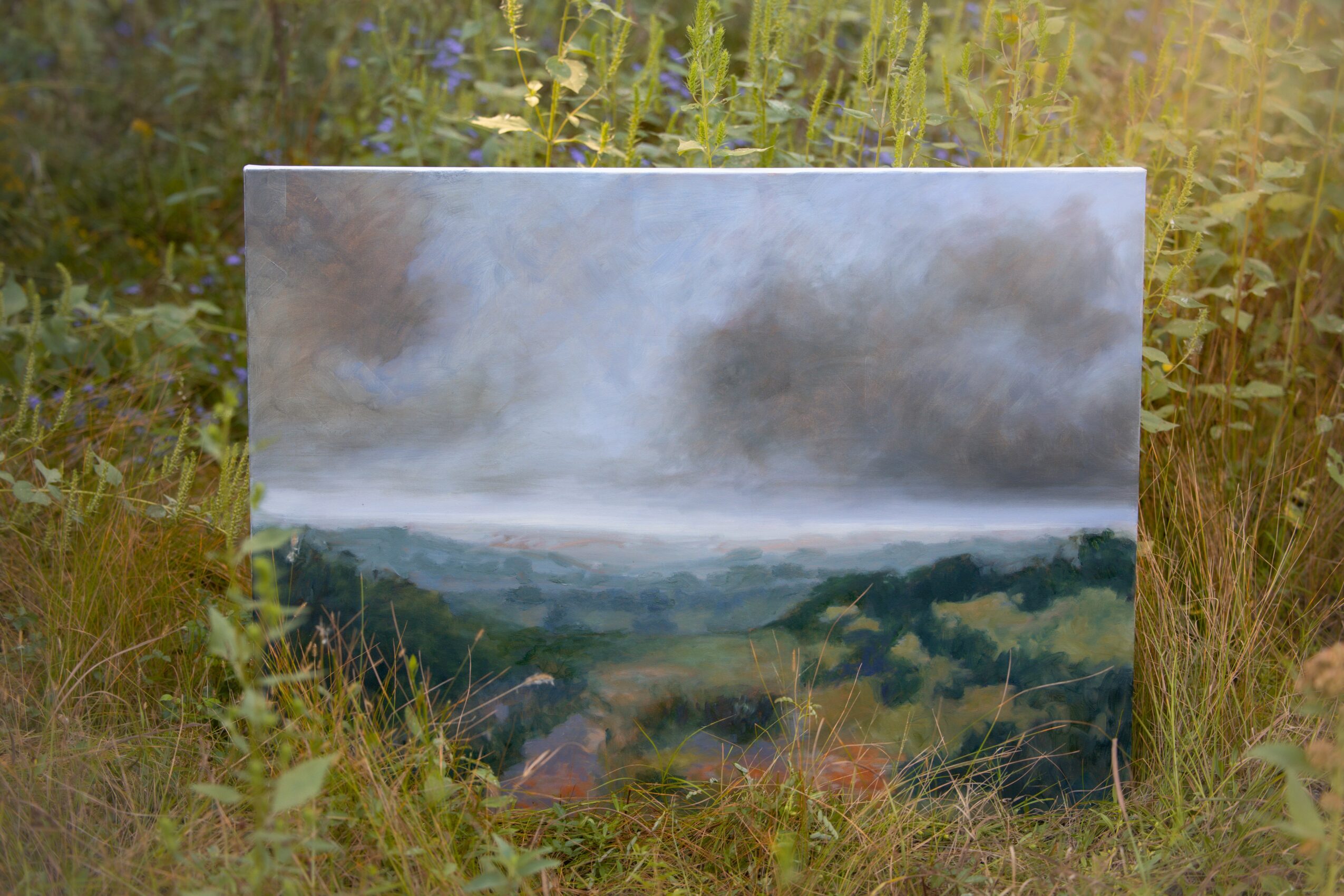 Landscape painting of hills and cloudy sky, leaning against grass and plants outdoors.