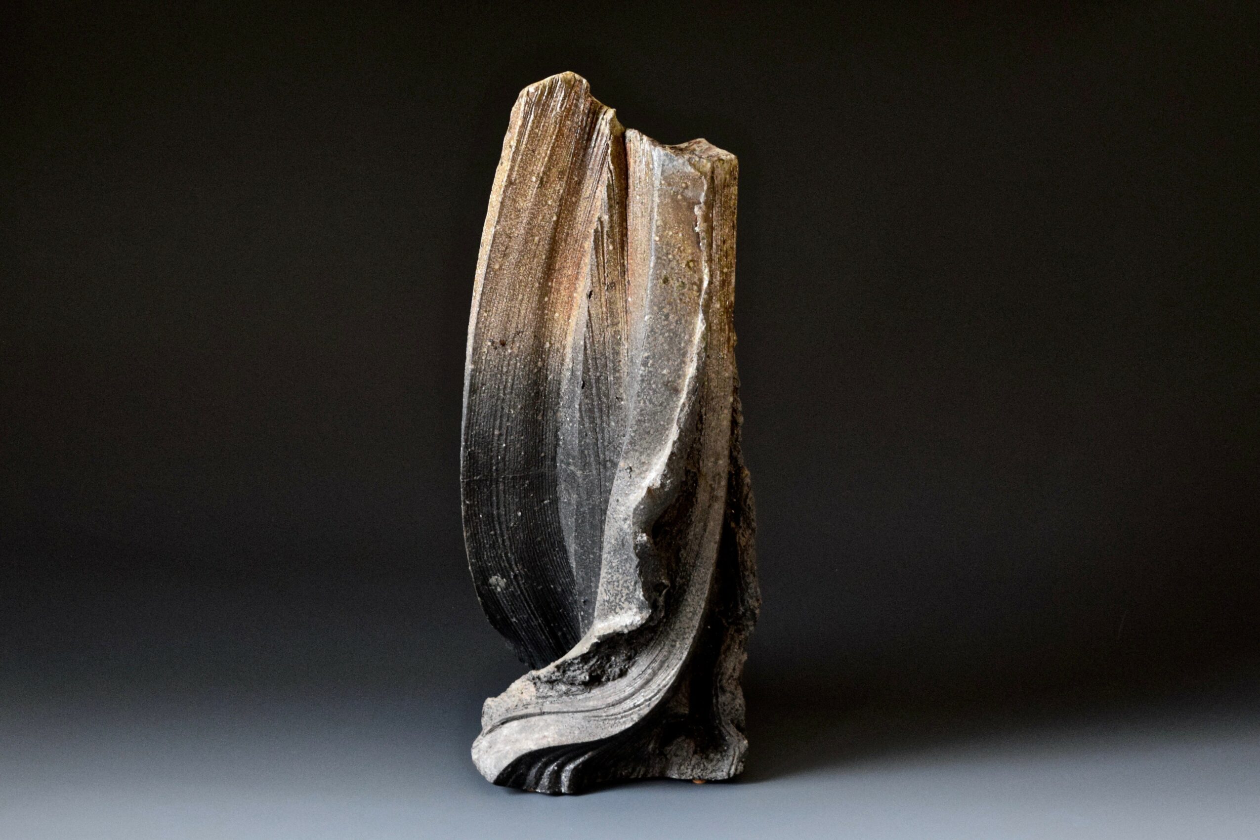A vertically standing piece of wood with a curved, layered structure against a dark background.
