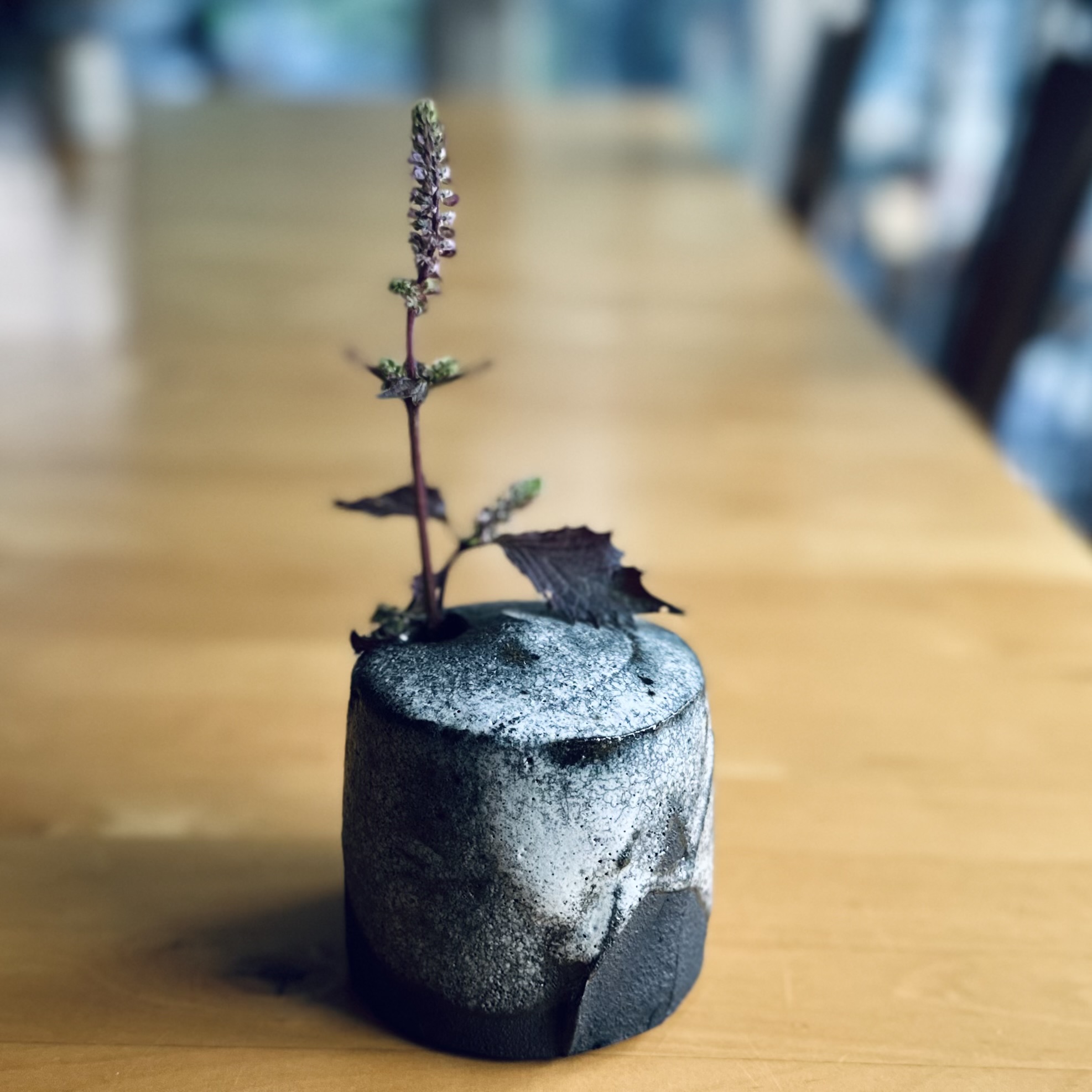 Small plant with purple flowers in a black and gray textured pot on a wooden table, background blurred.