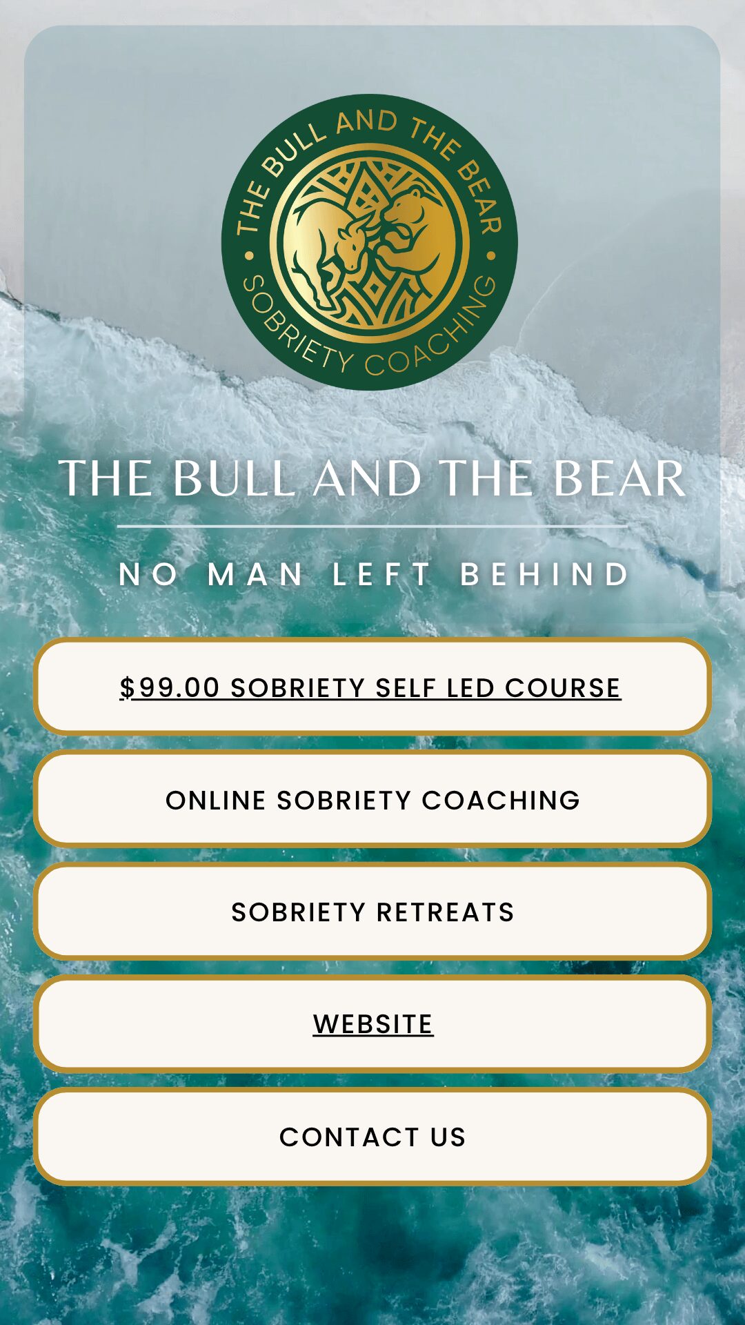 A promotional image for The Bull and The Bear Society Coaching, featuring a logo, ocean waves, and course options.