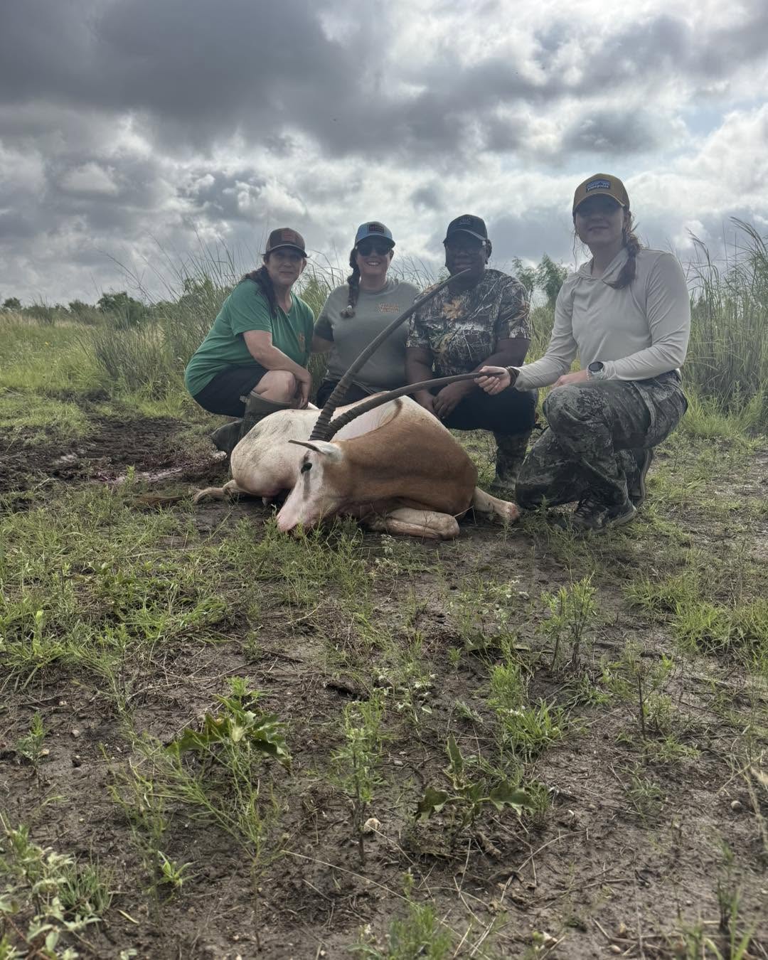 Four people kneel outdoors behind a large animal lying on the ground, with cloudy sky and greenery in the background.