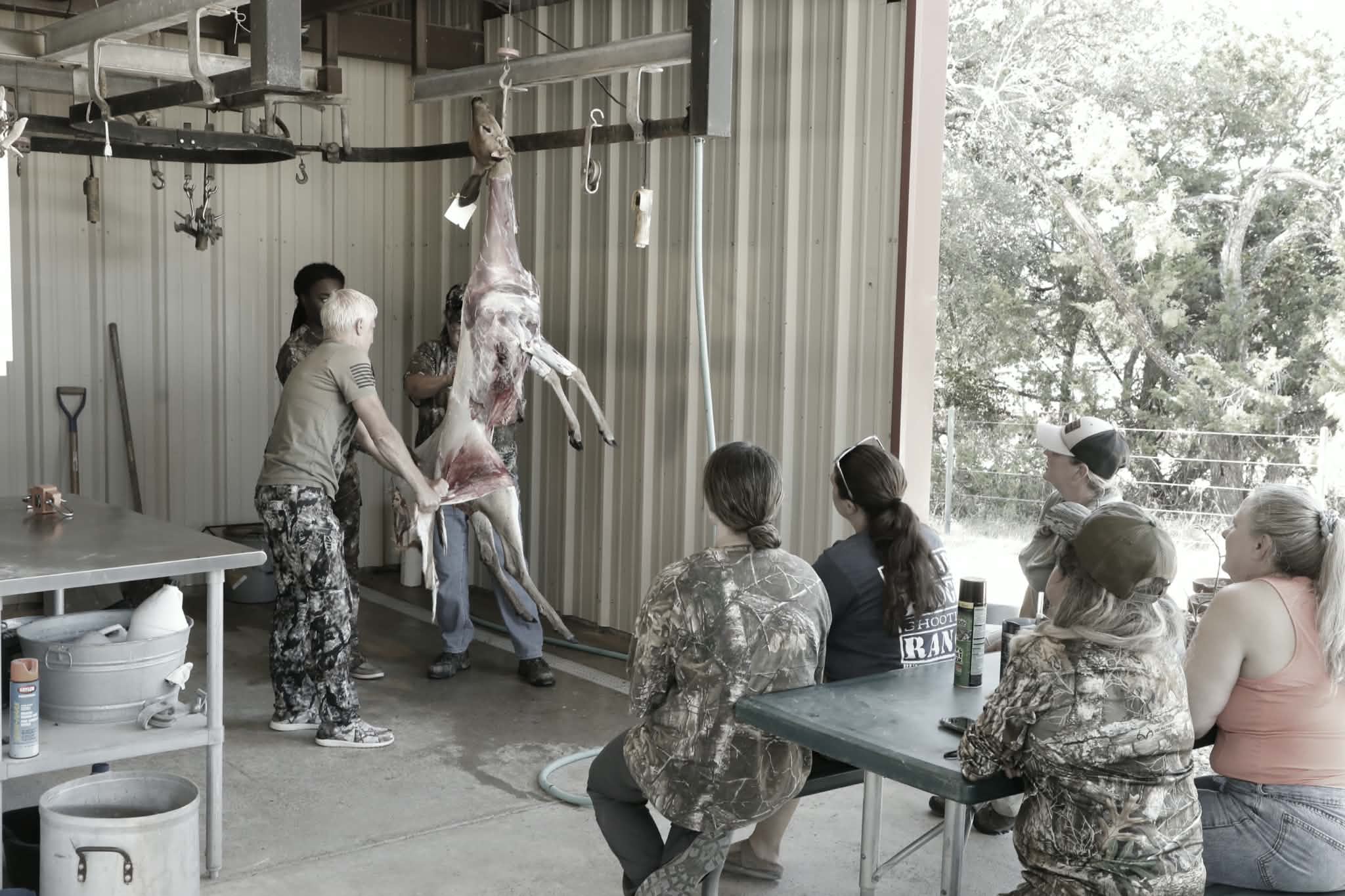 People observing a person hanging upside down in a room with large windows and trees outside.
