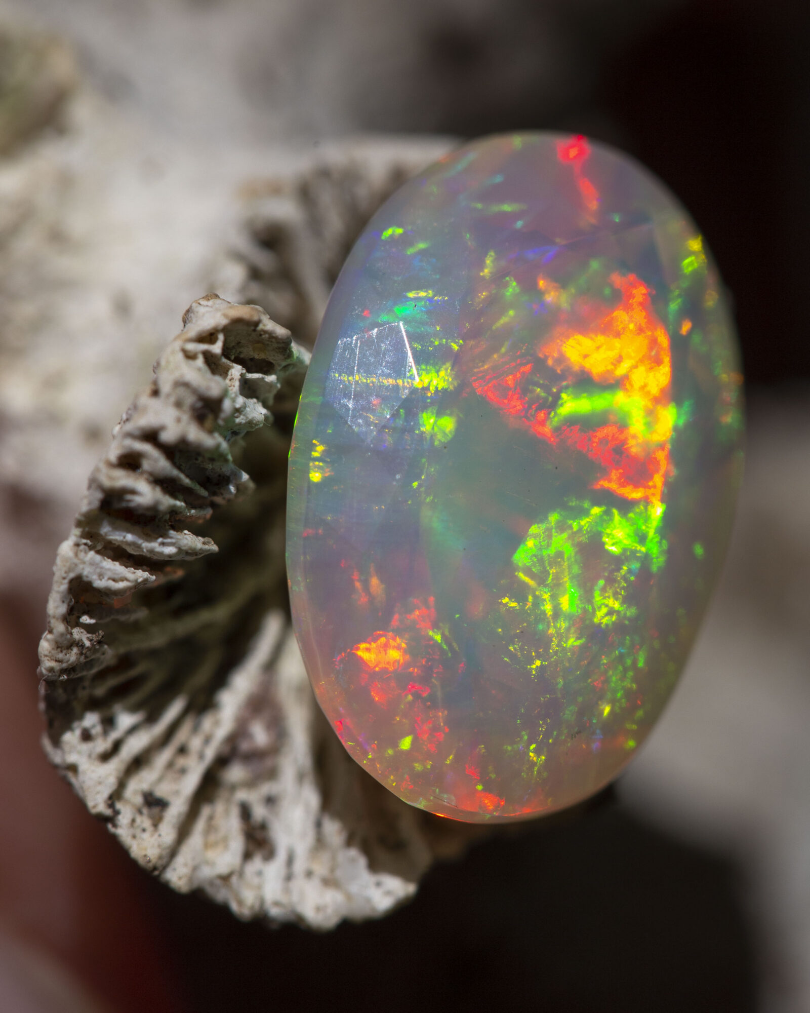 A colorful opal gemstone with vibrant red, green, and yellow flashes rests on a textured, grayish surface.
