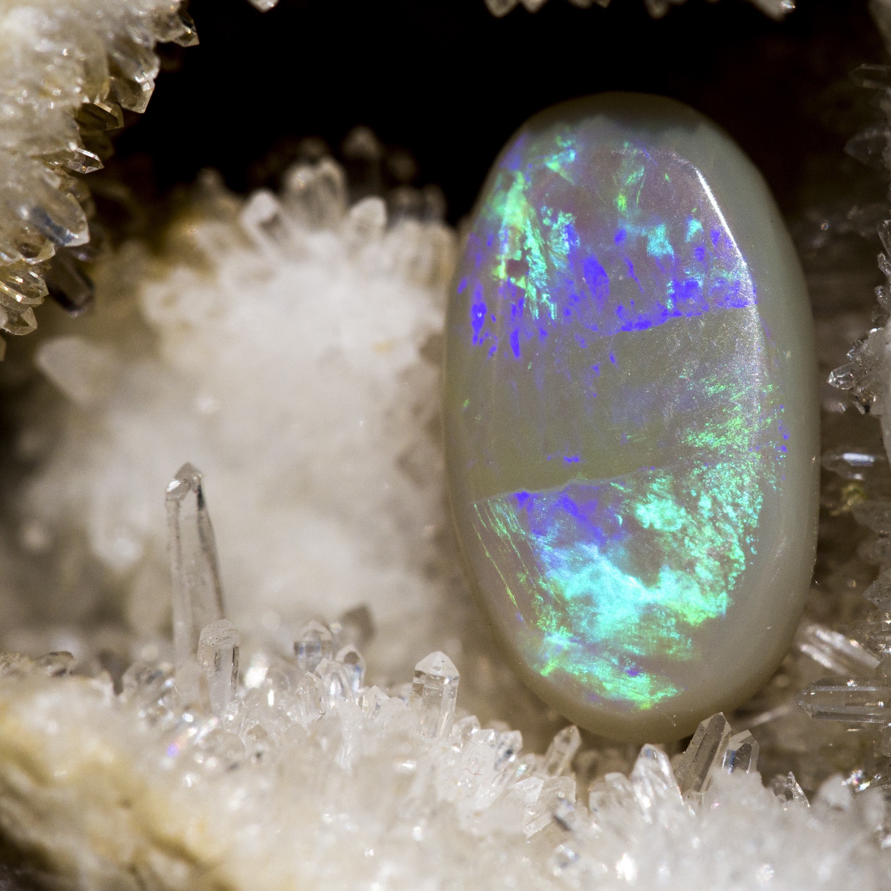 Opal gemstone surrounded by crystalline formations, displaying vibrant blue and green colors, with a smooth oval shape and iridescent surface.