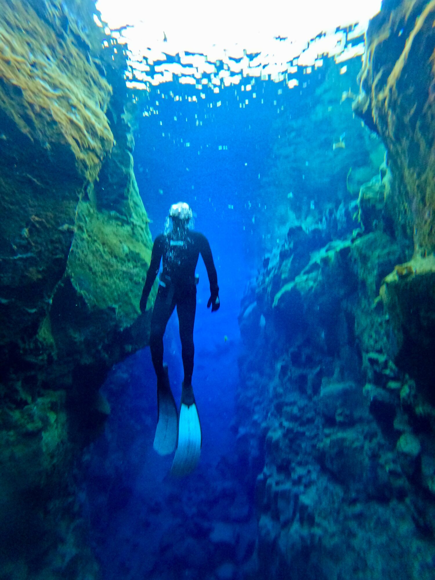 Person in wetsuit with fins swimming in underwater canyon with rocky walls and blue water.