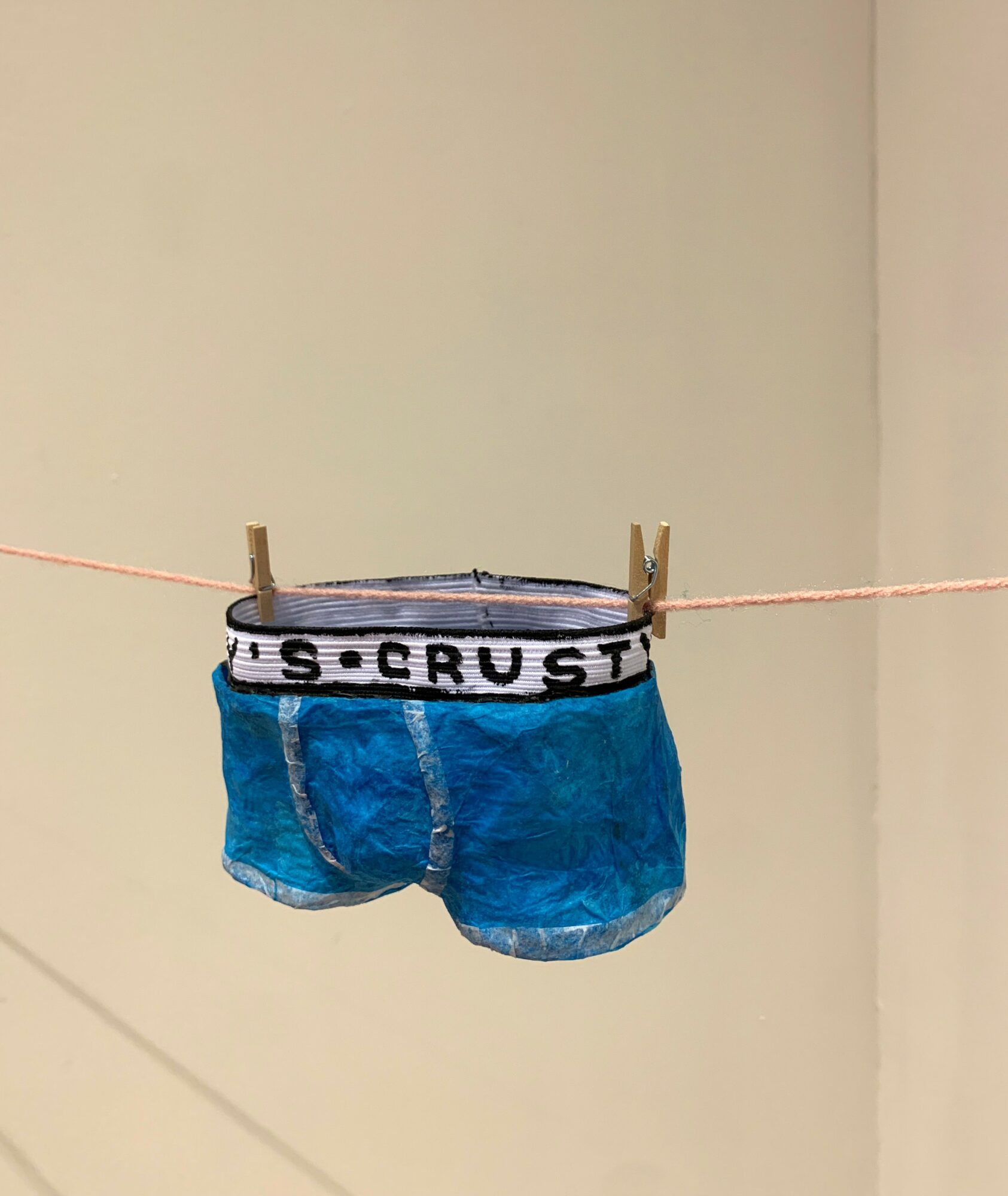 Blue underwear hanging on a clothesline with clothespins, with the waistband reading 'S. CRUST'.
