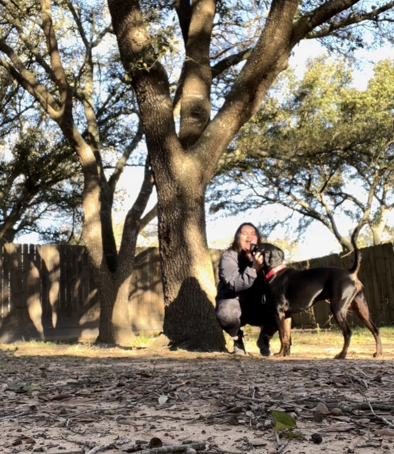 Person crouching next to a black dog under a large tree in a backyard, with a wooden fence and trees in the background.