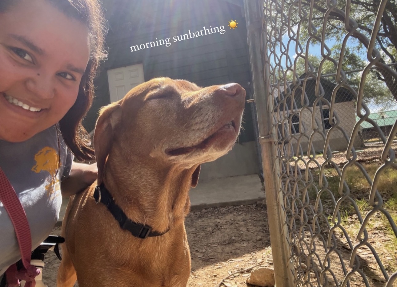 Girl smiling next to a dog outdoors, chain-link fence and sunlight in background.