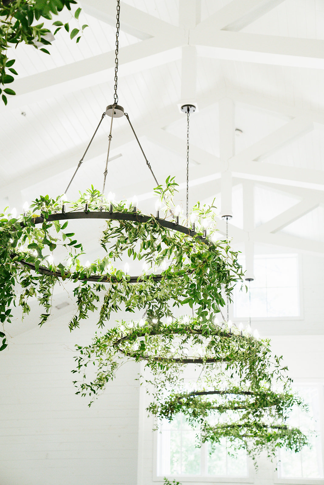 Hanging circular plant chandelier with green foliage, in a bright white room with large windows and ceiling beams.