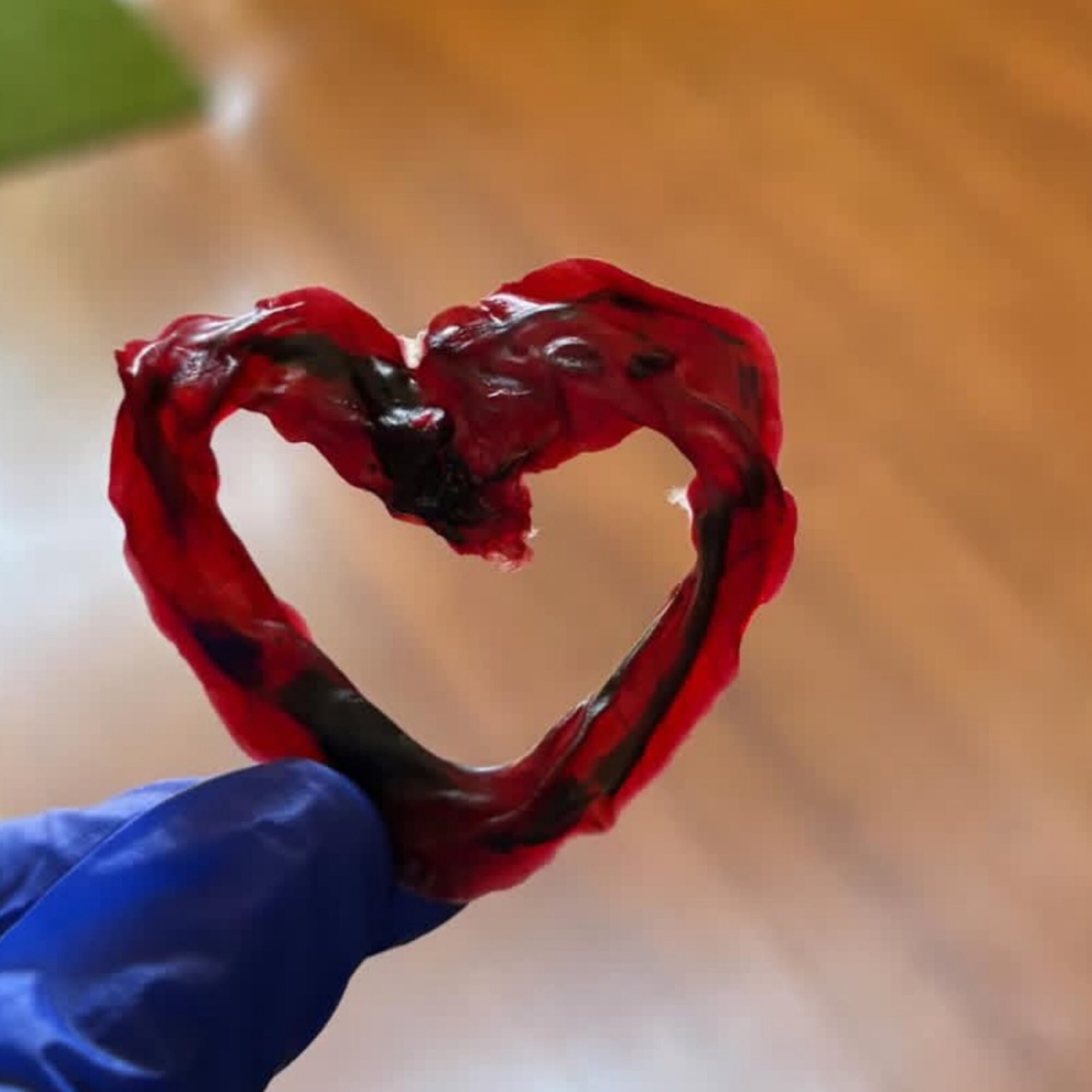 Person wearing a blue glove holds a heart-shaped object made of red and black material, with a wooden floor background.
