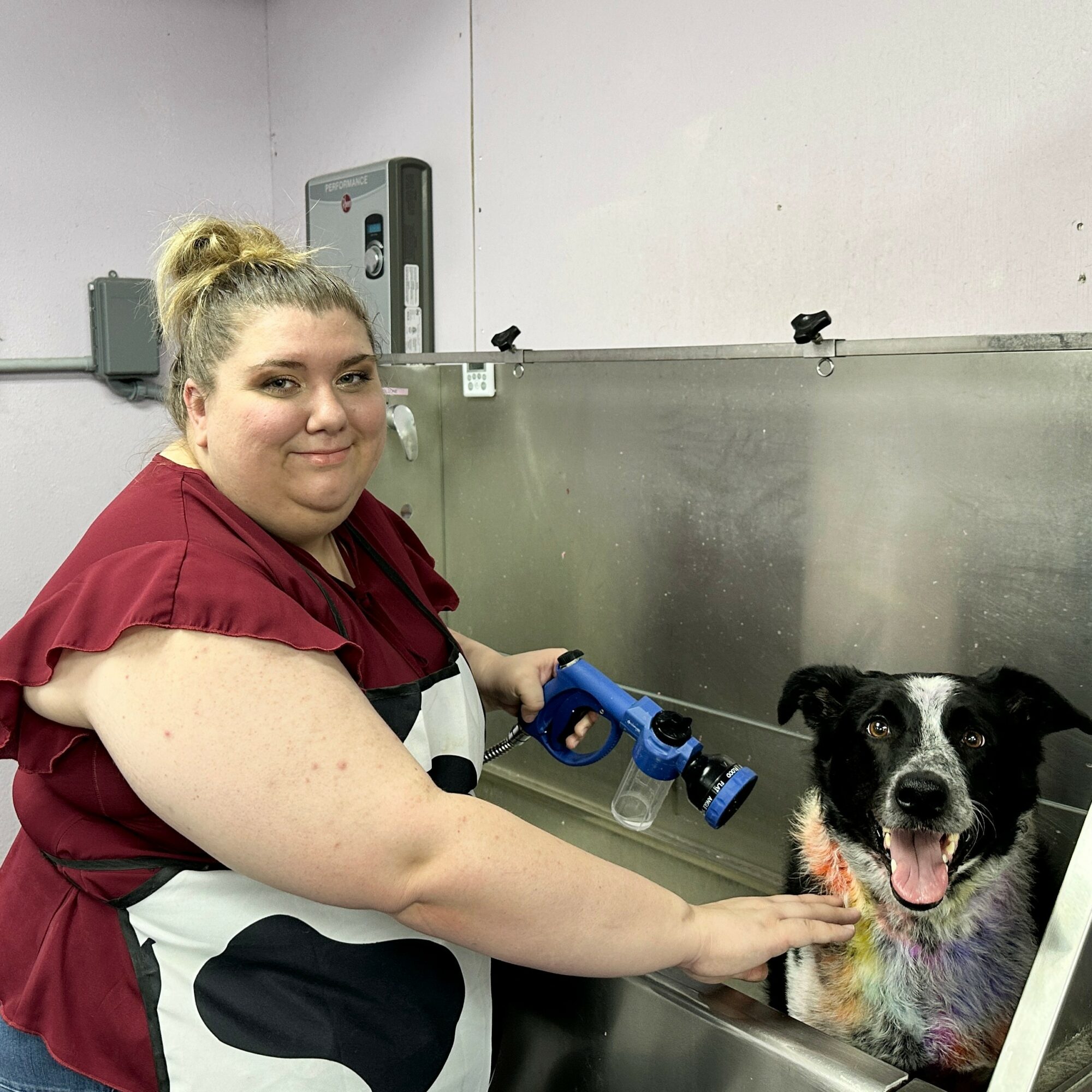 Person with a dog in a grooming station, holding a spray bottle, smiling, with a stainless steel background.