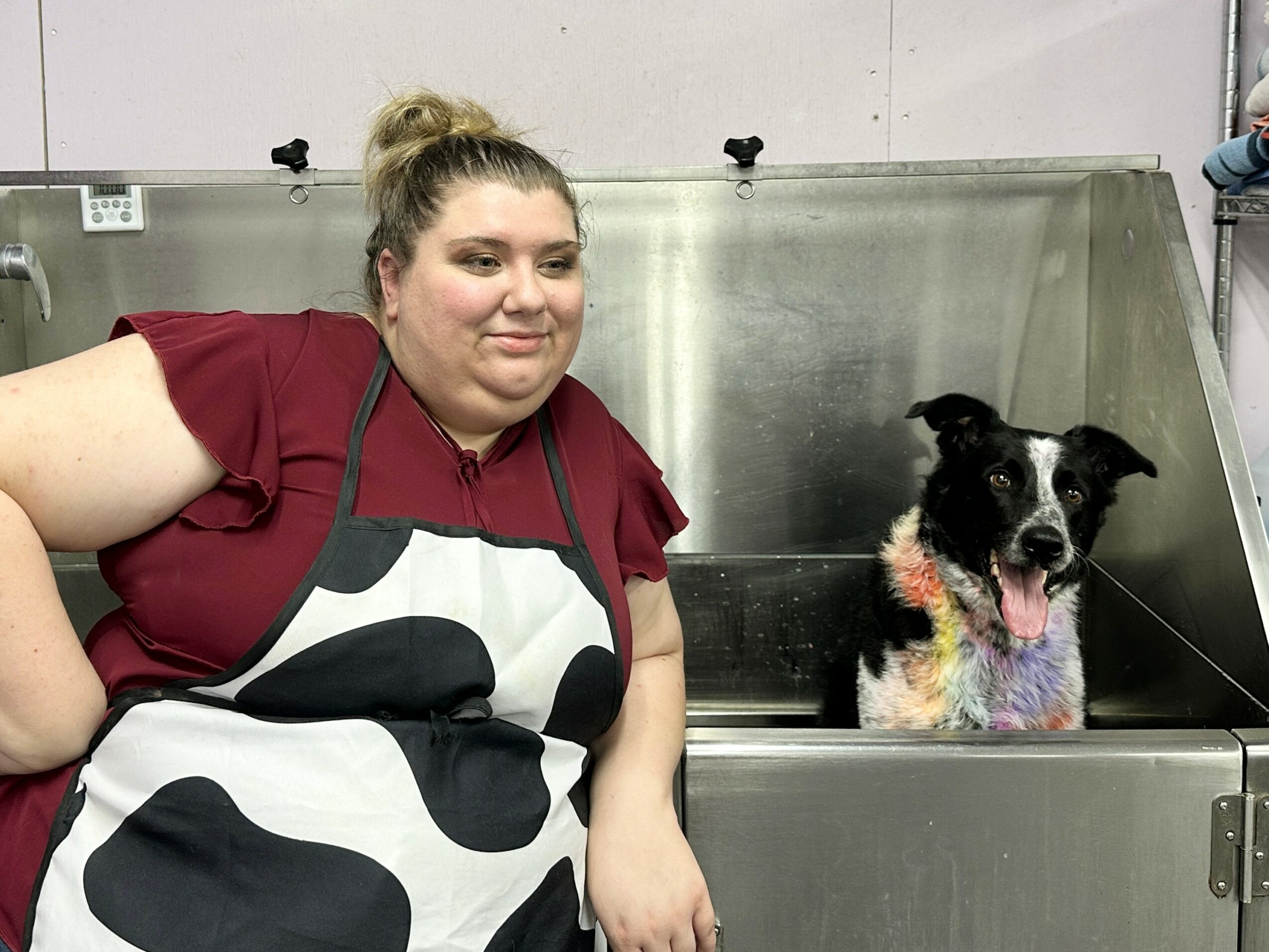 Woman with a ponytail wearing a maroon shirt and apron, standing next to a black and white dog in a grooming station.
