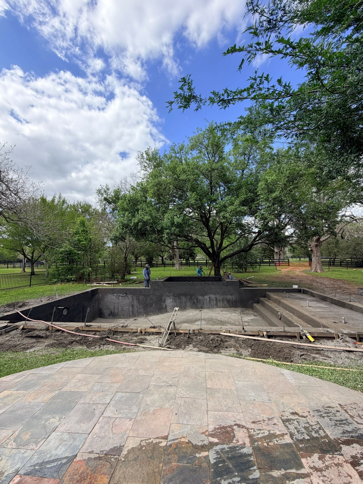 Tree with green leaves beside a paved walkway and a small fountain in a park, under a partly cloudy sky.