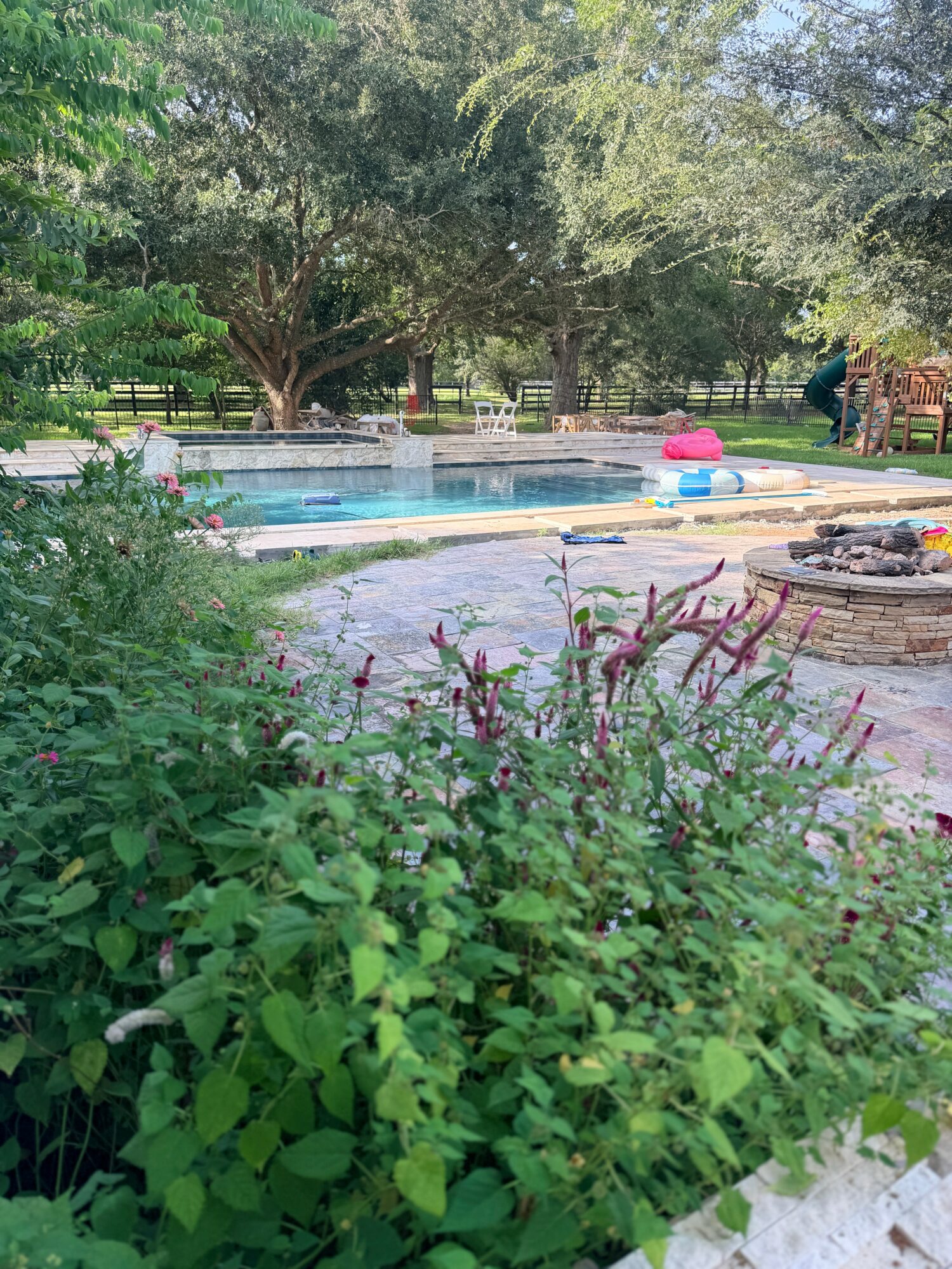 Swimming pool with lounge chairs and trees in the background, surrounded by greenery and flowering plants.