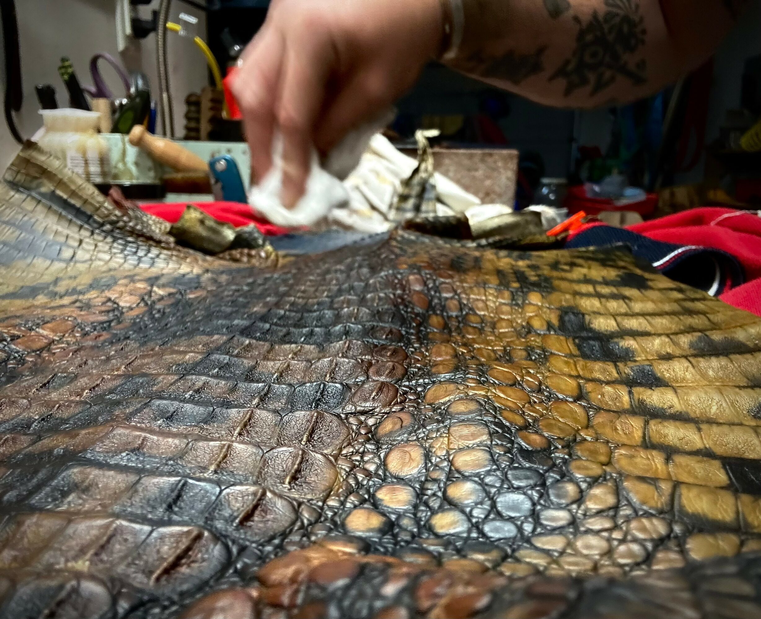 Person cleaning a crocodile or alligator skin with a cloth, working on a table with tools and supplies nearby.