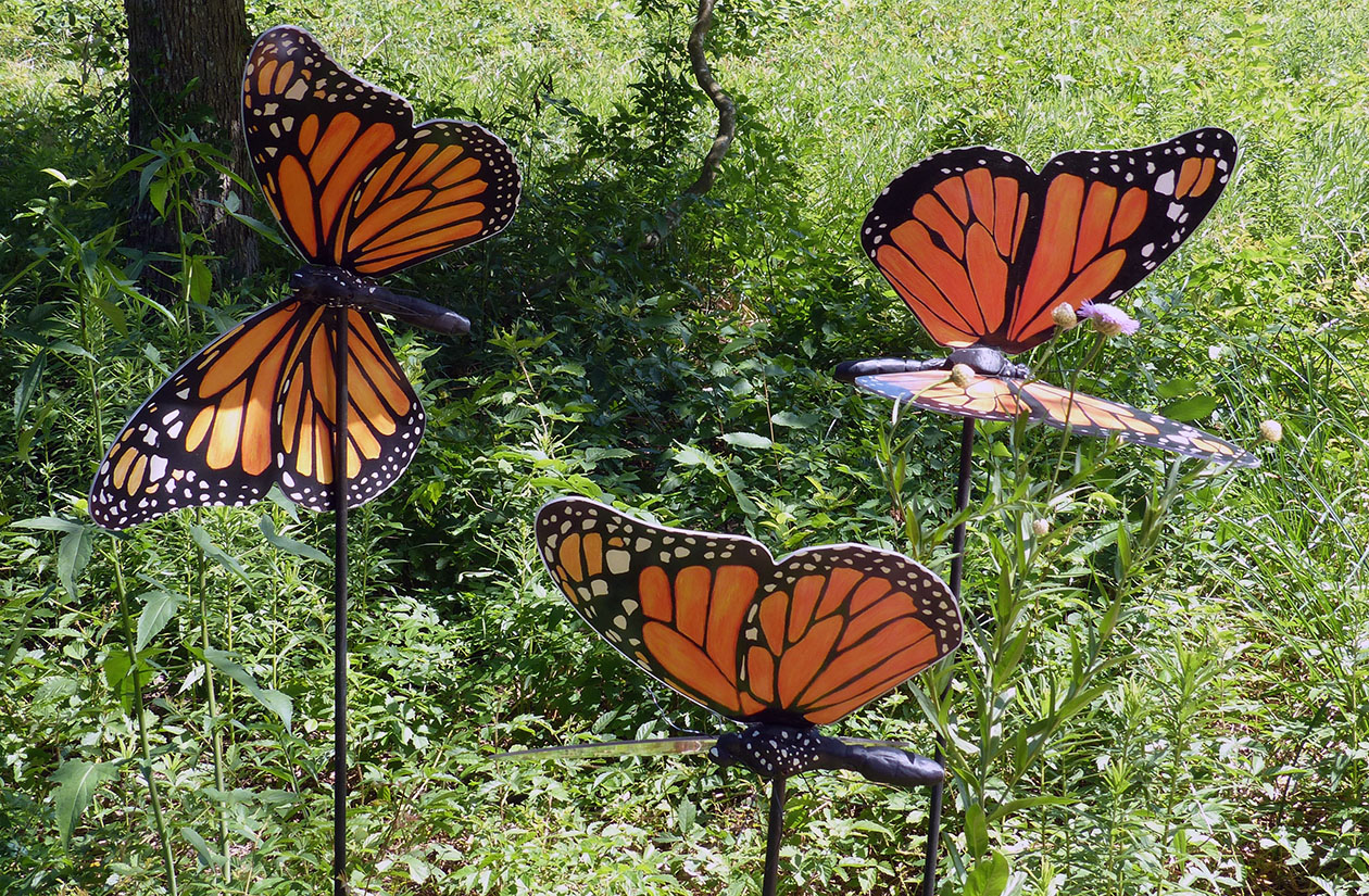 Three monarch butterflies perched on thin stems in a green outdoor setting.